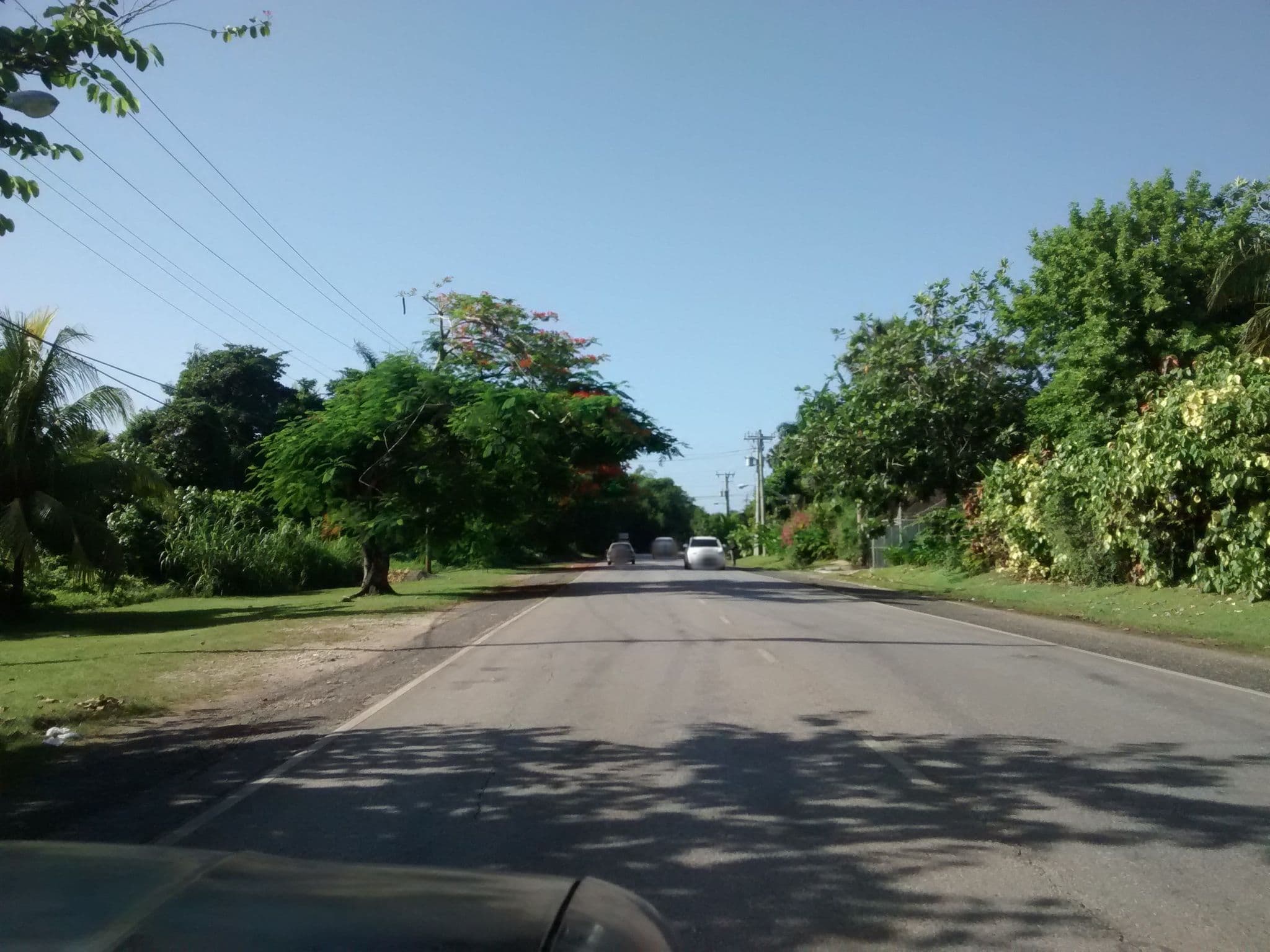 Street view near Crema @ Sandals Negril, Orange Bay — © seanogreen (CC BY-SA · Mapillary)