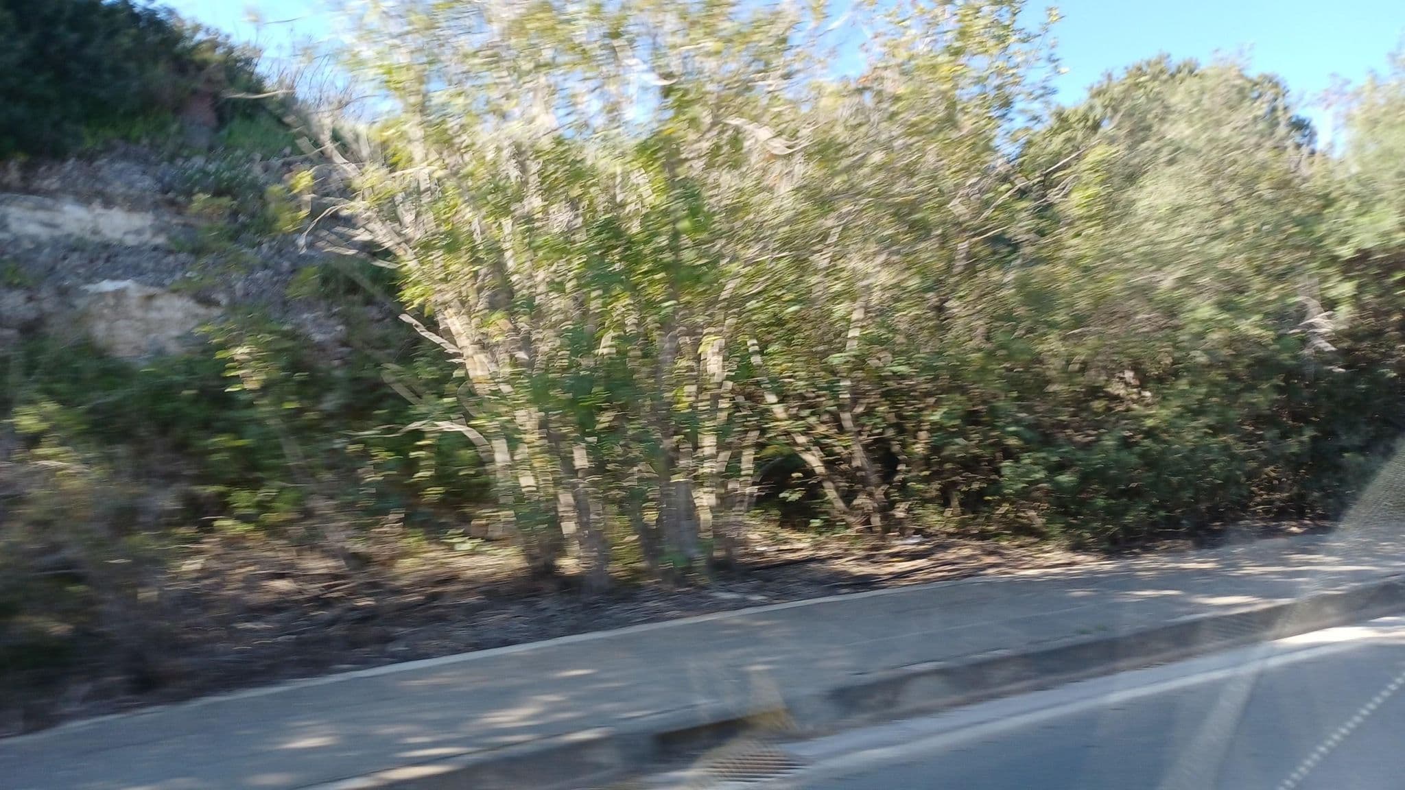 Street view near Caretta Beach Hotel, Pólis — © noa1 (CC BY-SA · Mapillary)
