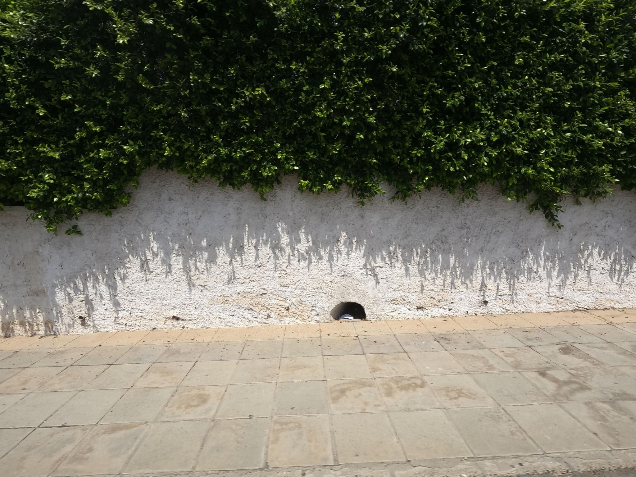 Street view near Pool Bar, Ayia Napa — © noa1 (CC BY-SA · Mapillary)