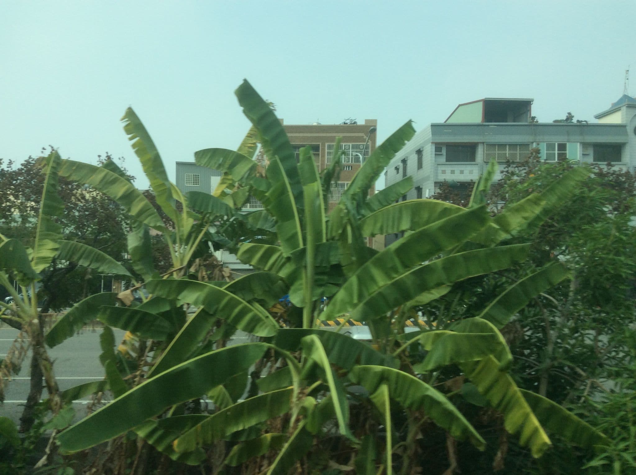 Street view near 雲頂時尚旅館, Taibao — © mcdlee (CC BY-SA · Mapillary)