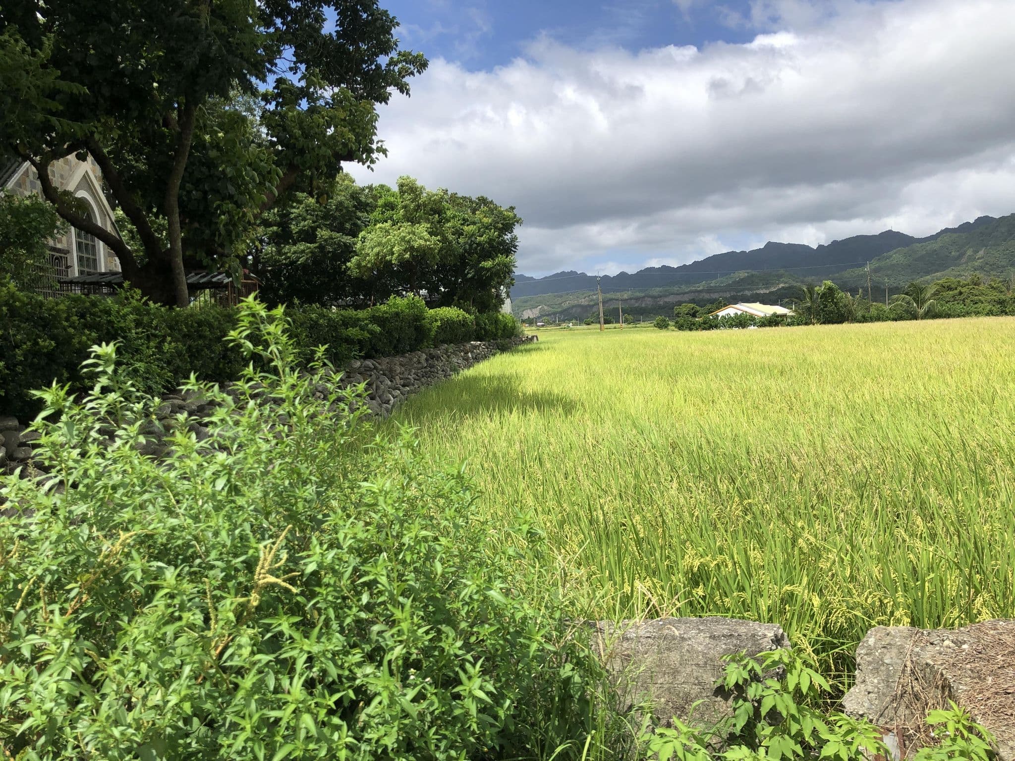 Street view near 鹿野森活, Guanshan — © monica_migu (CC BY-SA · Mapillary)