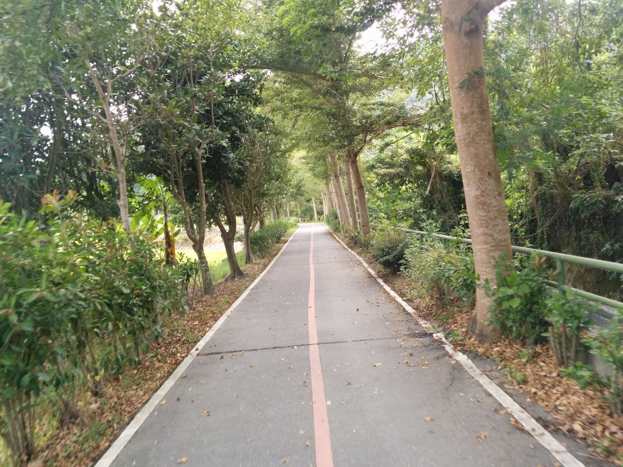 Street view near 大瀚山莊花園民墅, Guanshan — © kcwu (CC BY-SA · Mapillary)
