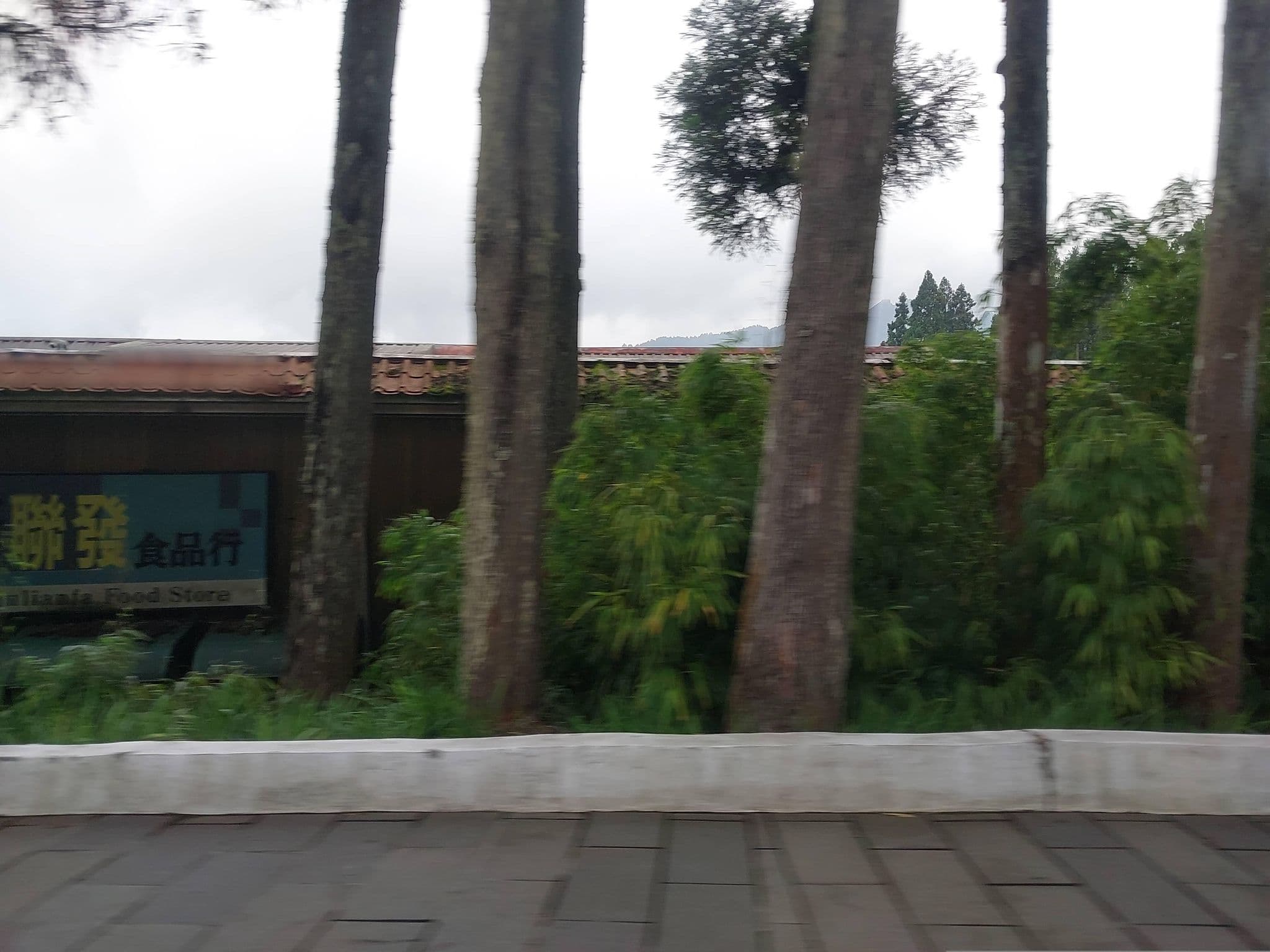 Street view near 阿里山森之旅民宿, Lugu — © ChenJJ (CC BY-SA · Mapillary)