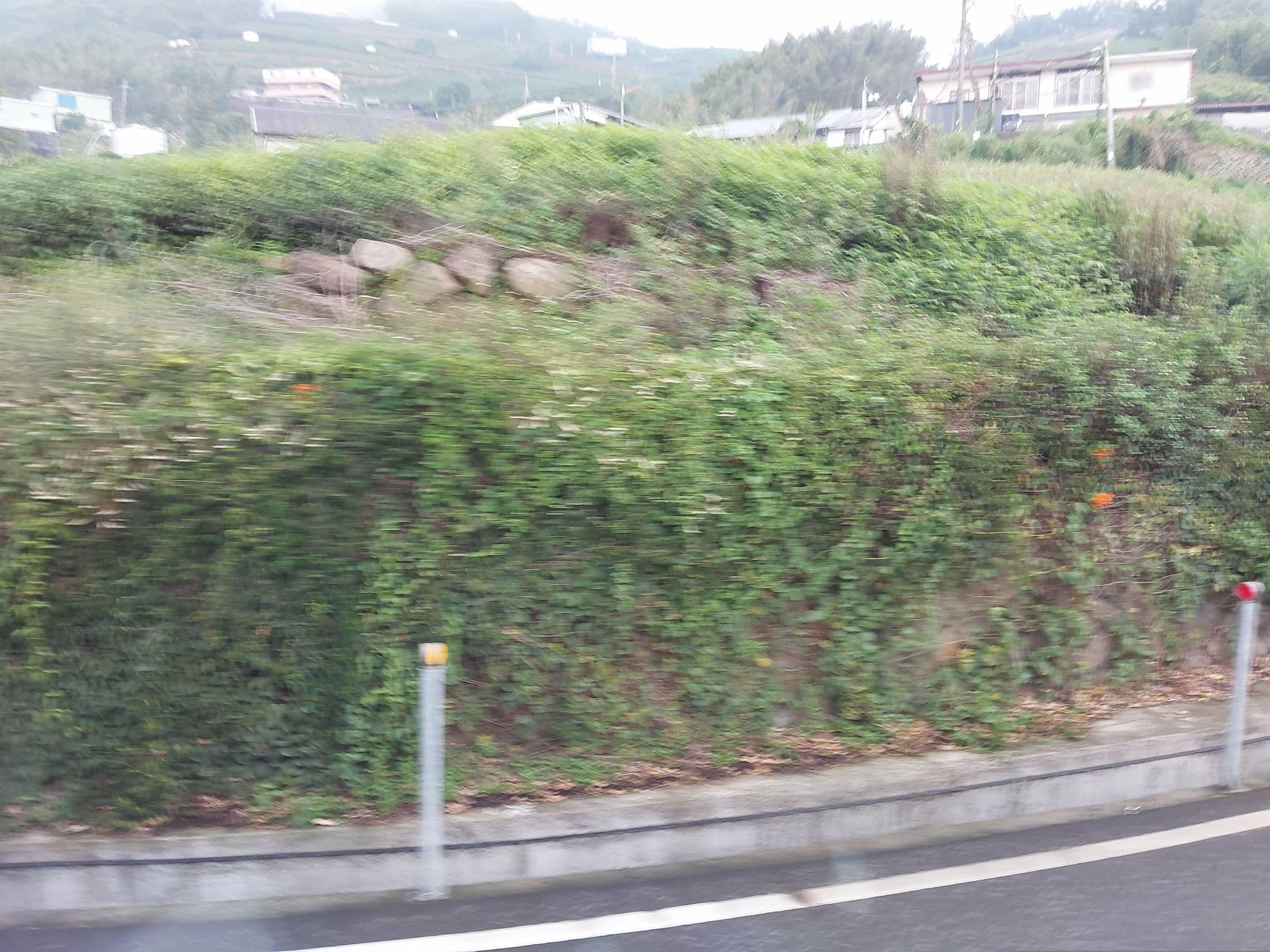 Street view near 阿榮的店, Chiayi City — © ChenJJ (CC BY-SA · Mapillary)