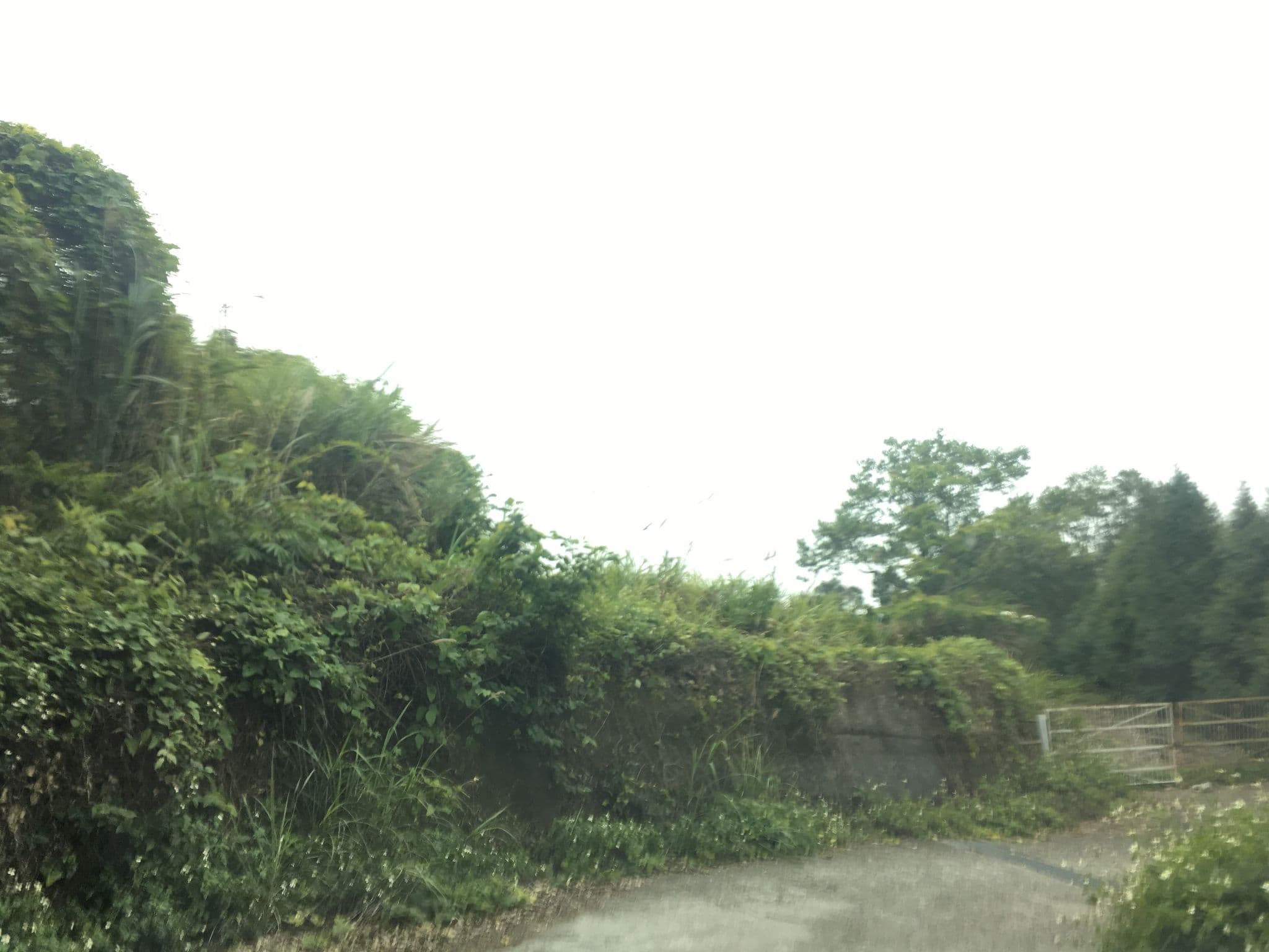 Street view near 嵐春峰, Taichung — © pty11111 (CC BY-SA · Mapillary)