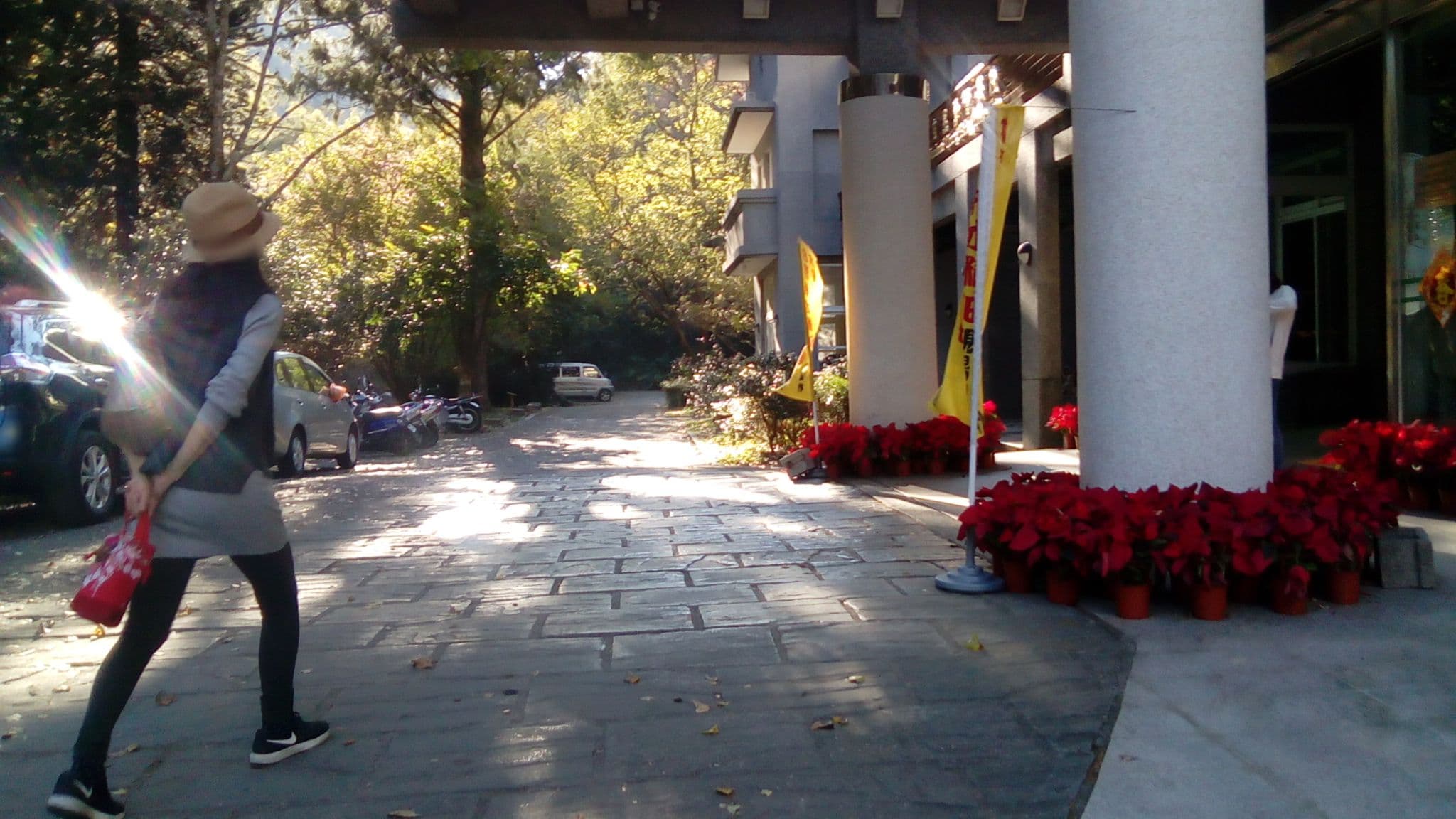 Street view near 研習中心, Puli — © adsa562 (CC BY-SA · Mapillary)