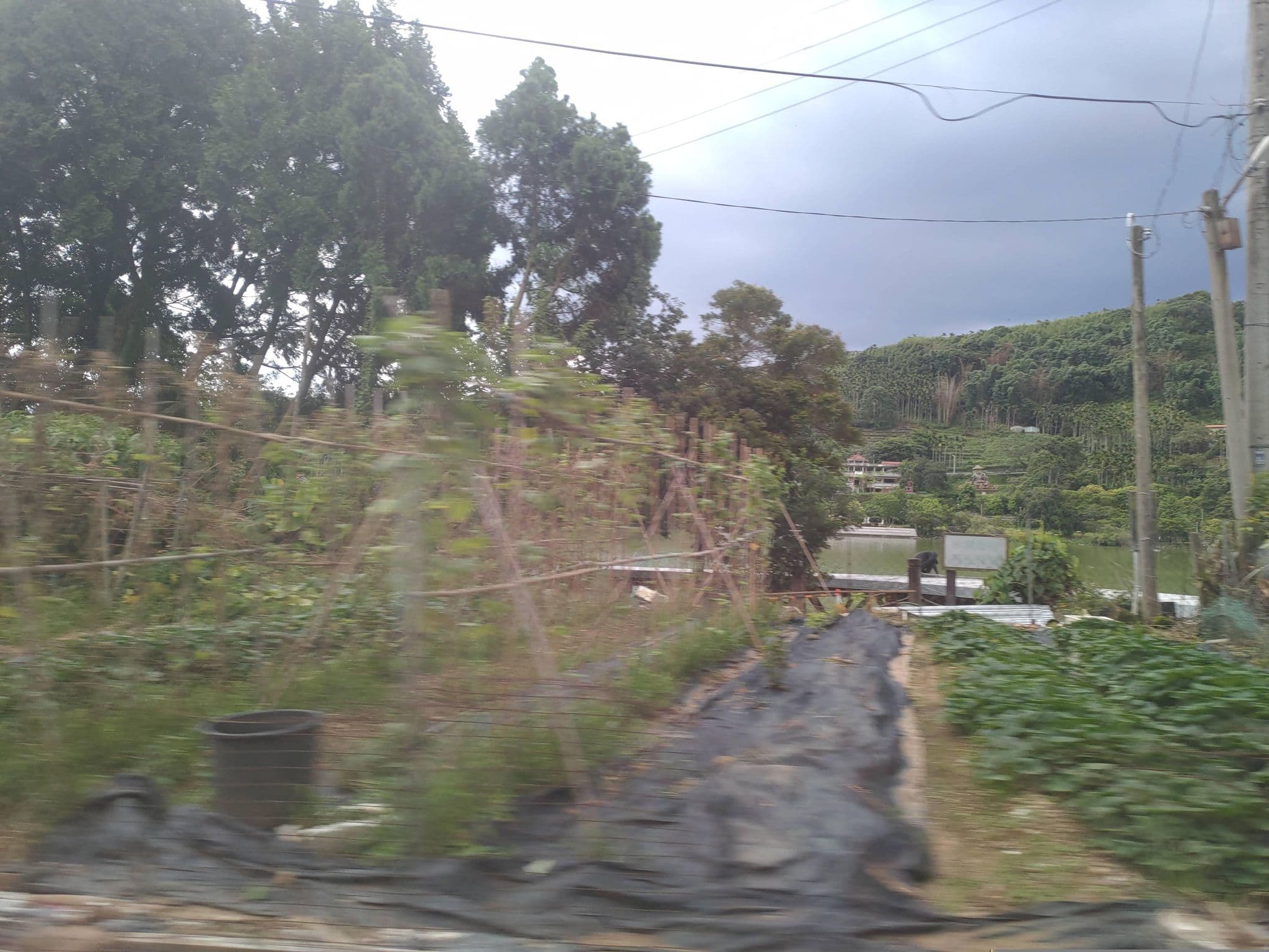 Street view near 湖頂農場民宿, Lugu — © nikuna196 (CC BY-SA · Mapillary)