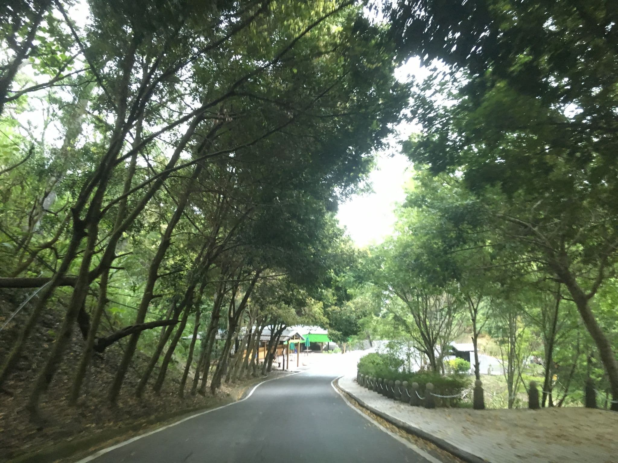 Street view near 九份二山, Puli — © pty11111 (CC BY-SA · Mapillary)