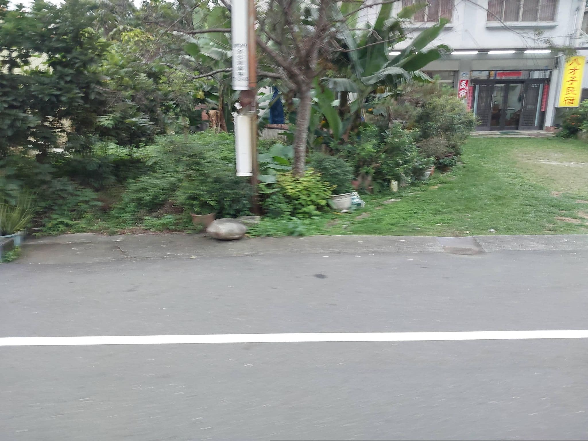 Street view near 明萱茶園, Lugu — © ChenJJ (CC BY-SA · Mapillary)