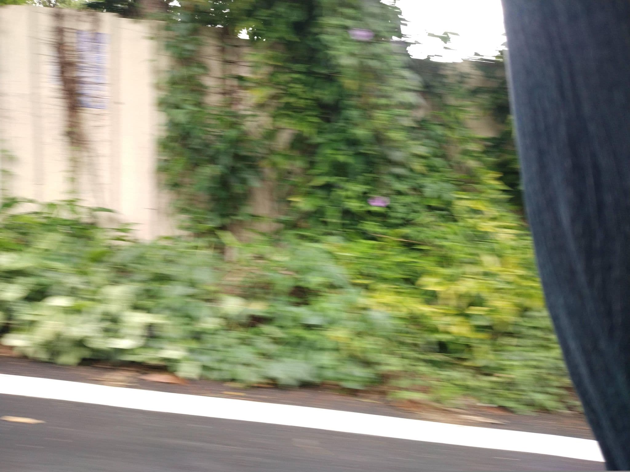 Street view near Tzu Hsin Garden Villas Hotel, Puli — © adsa562 (CC BY-SA · Mapillary)