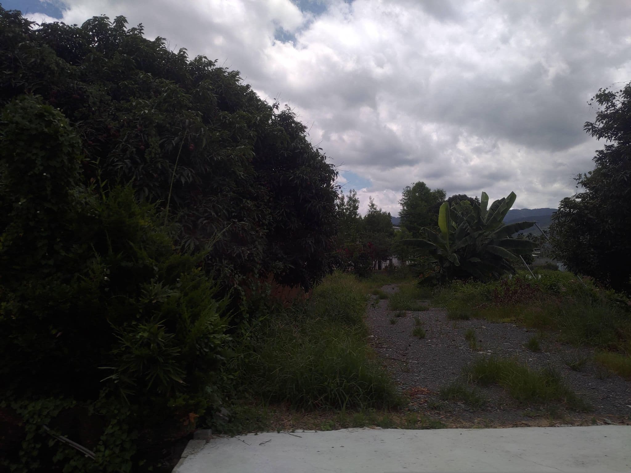 Street view near 富林頓汽車旅館, Caotun — © nikuna196 (CC BY-SA · Mapillary)