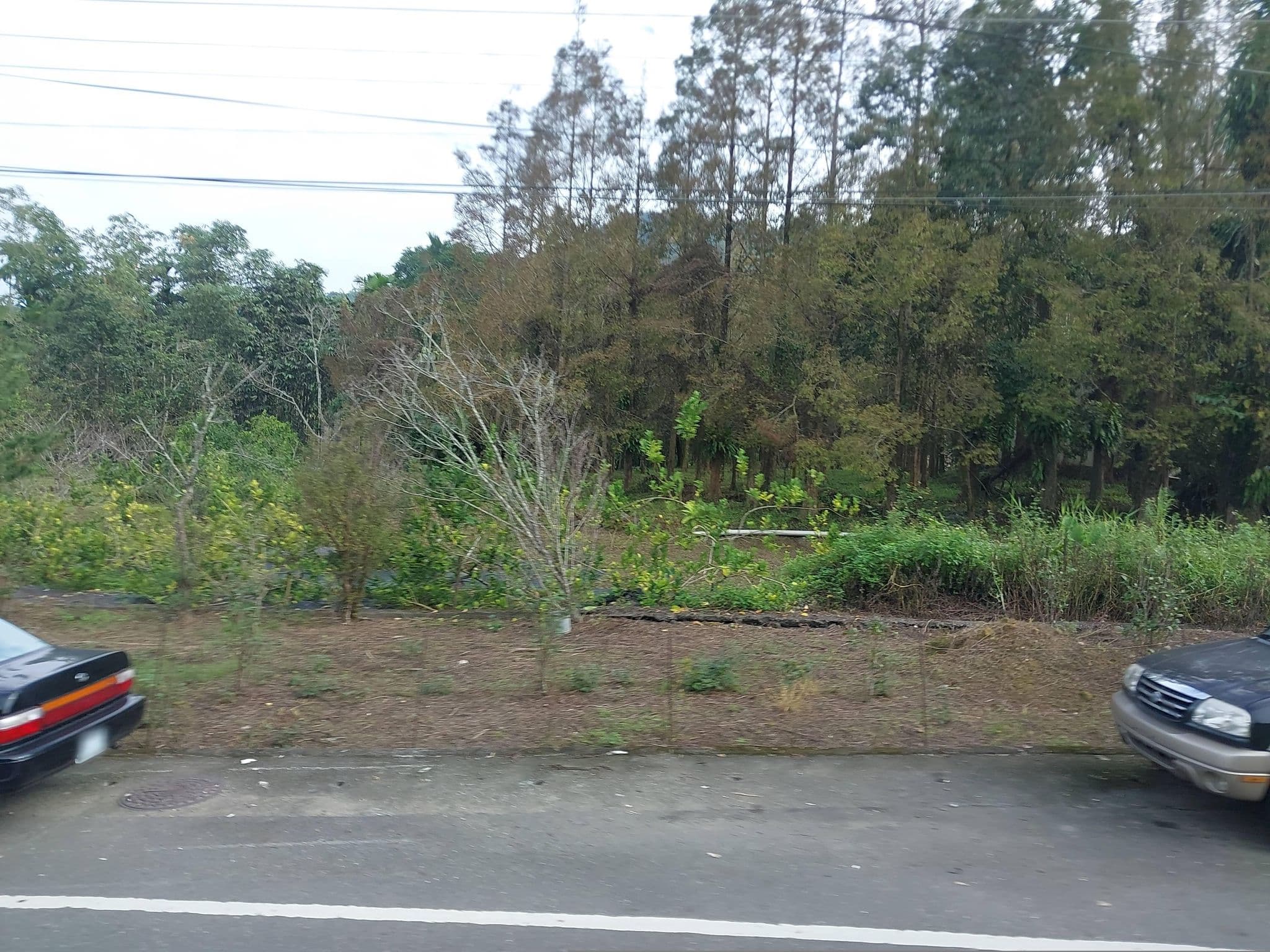 Street view near 松原山莊, Lugu — © ChenJJ (CC BY-SA · Mapillary)