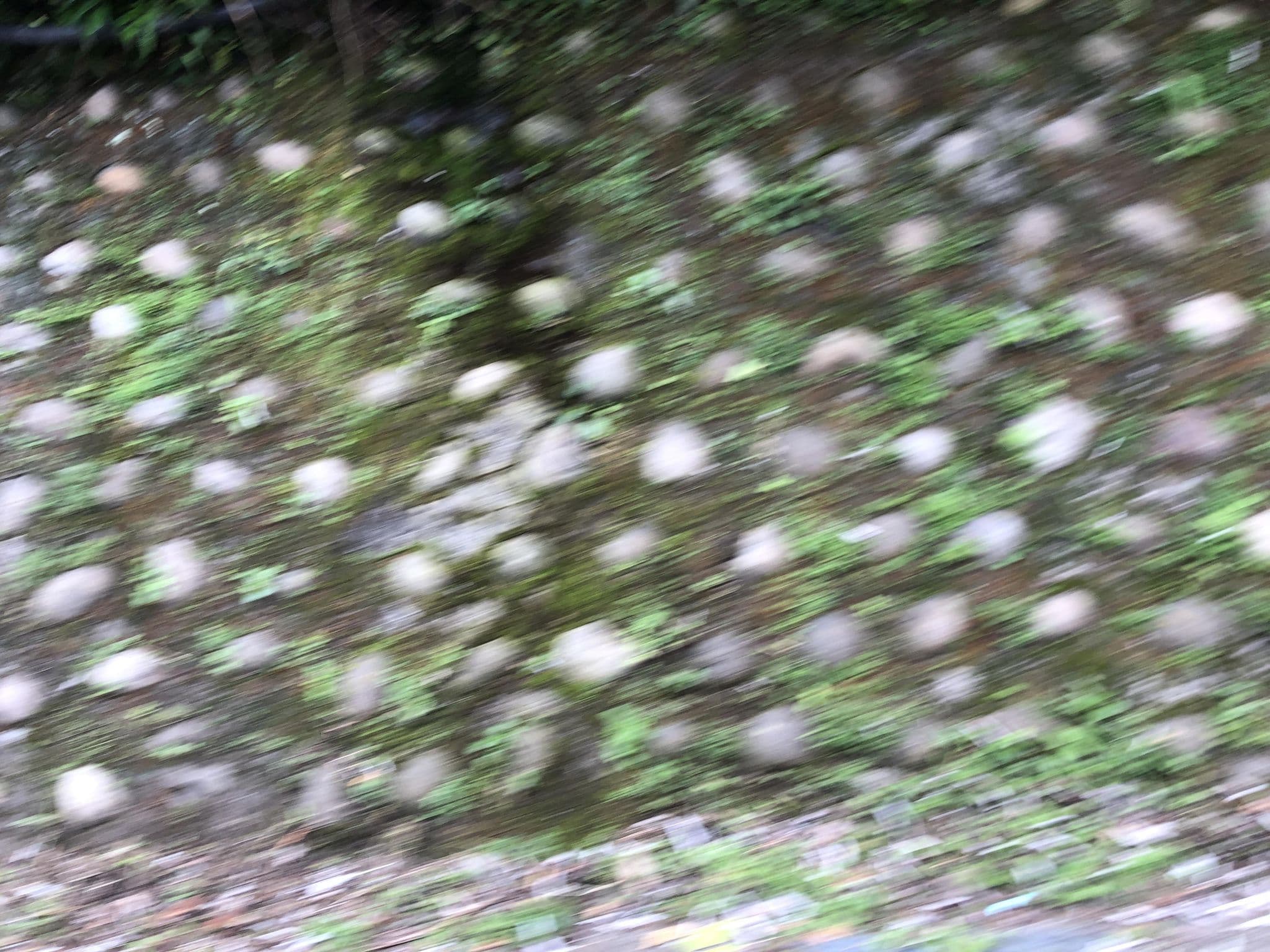 Street view near 松林山莊, Daxi — © monica_migu (CC BY-SA · Mapillary)