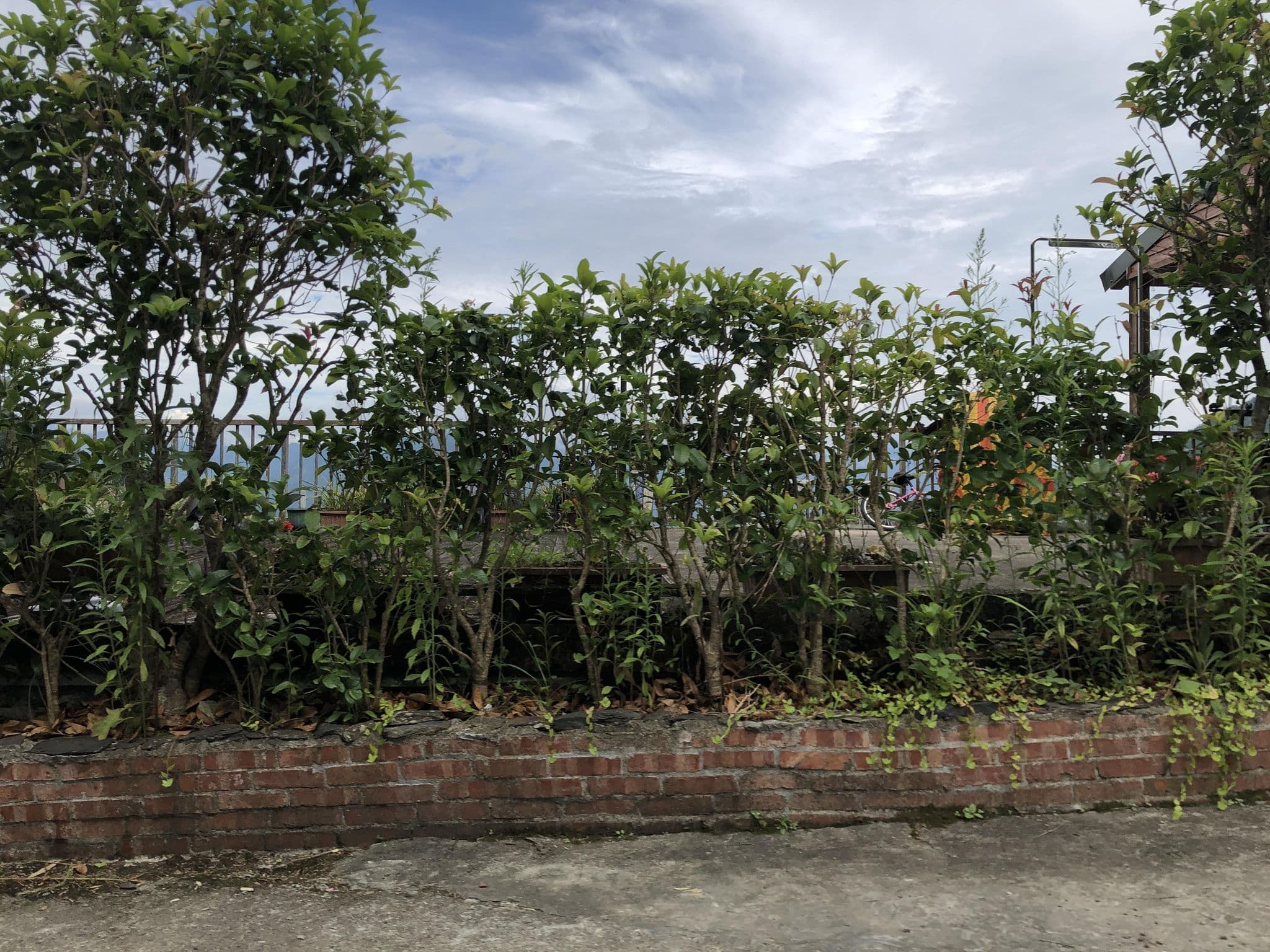 Street view near 雲莊渡假山莊, Wulai — © monica_migu (CC BY-SA · Mapillary)