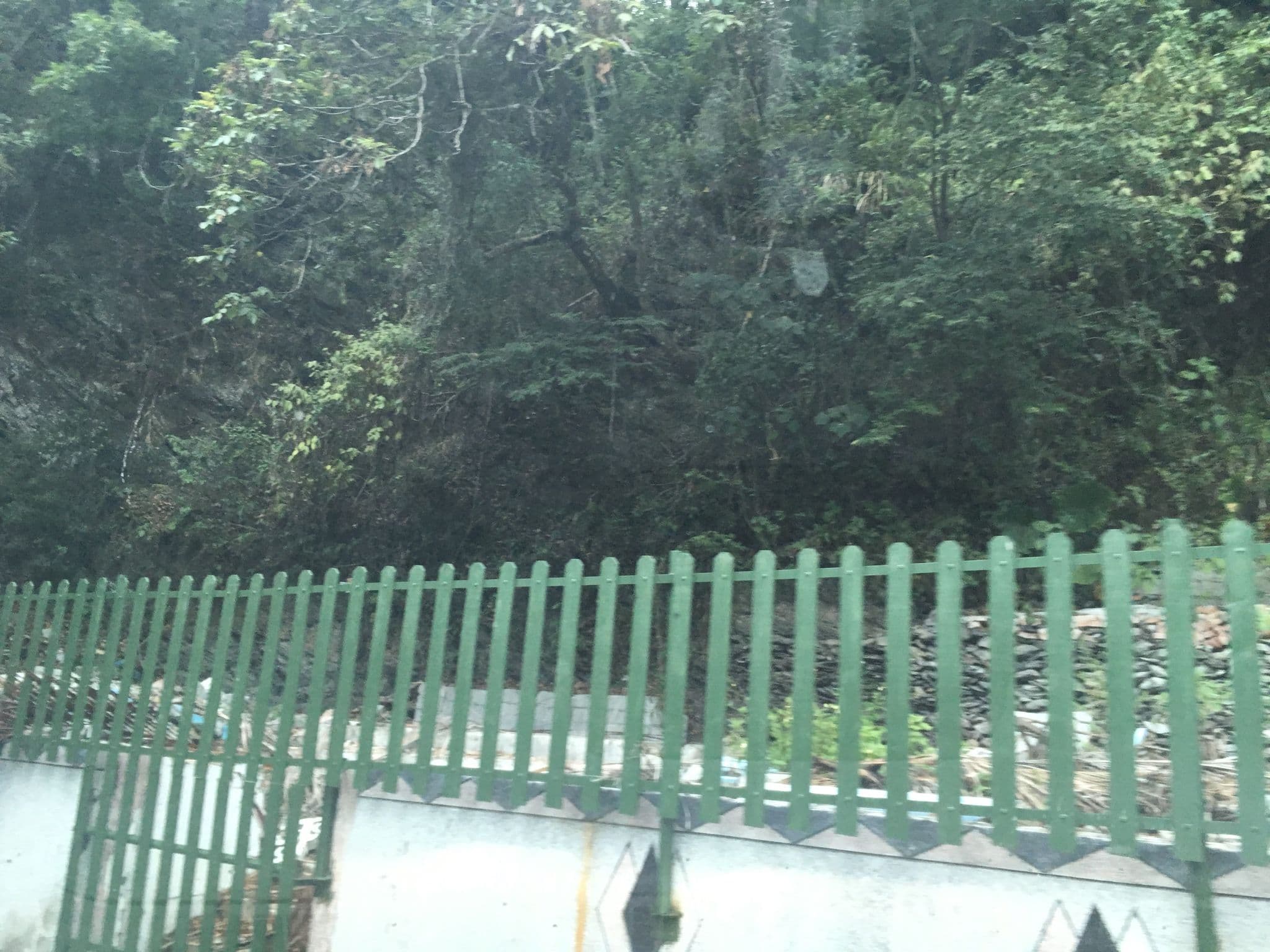 Street view near 太魯閣天祥民宿, Xiulin — © pty11111 (CC BY-SA · Mapillary)