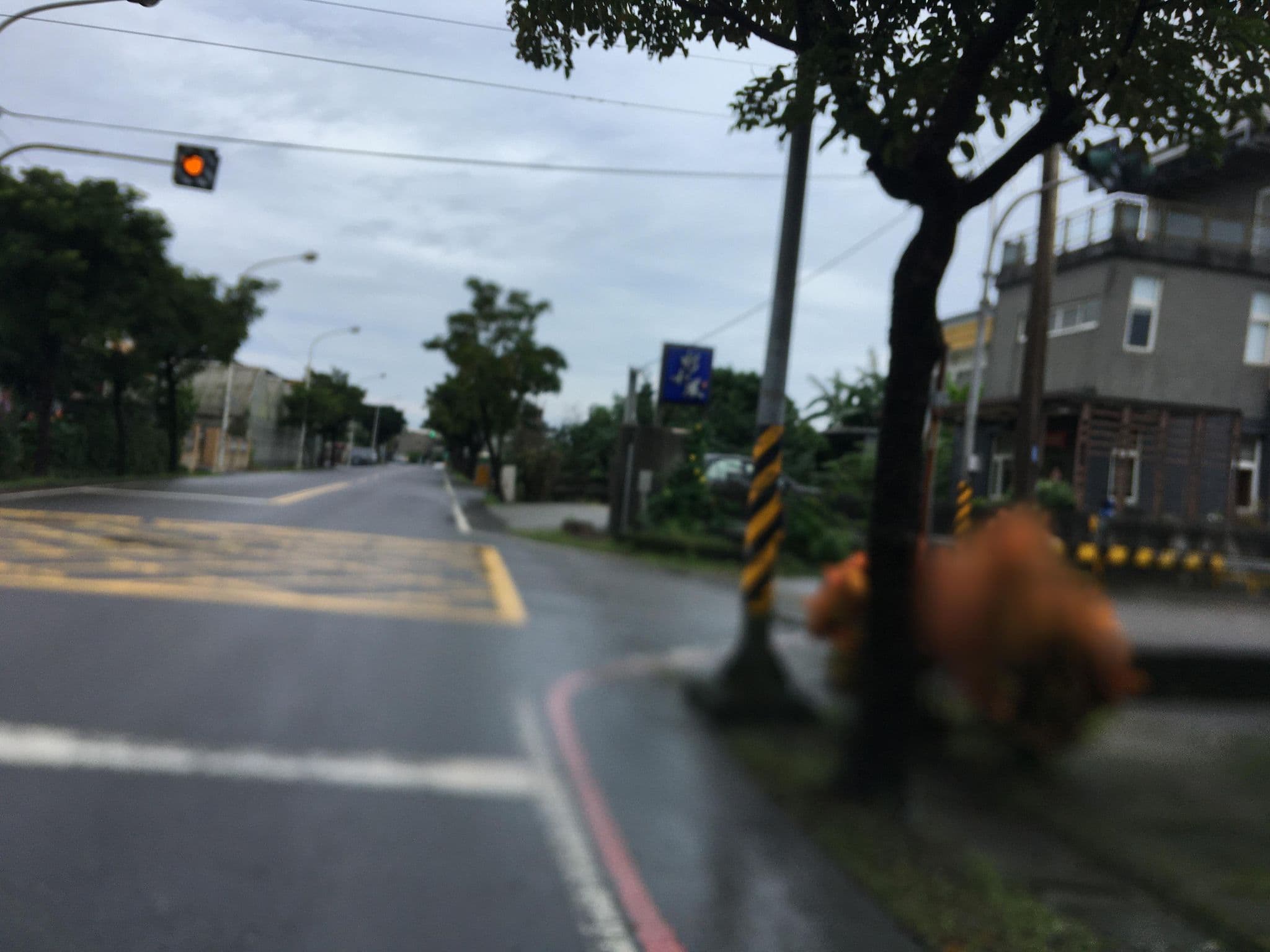 Street view near 水和風, Yilan — © ChenJJ (CC BY-SA · Mapillary)