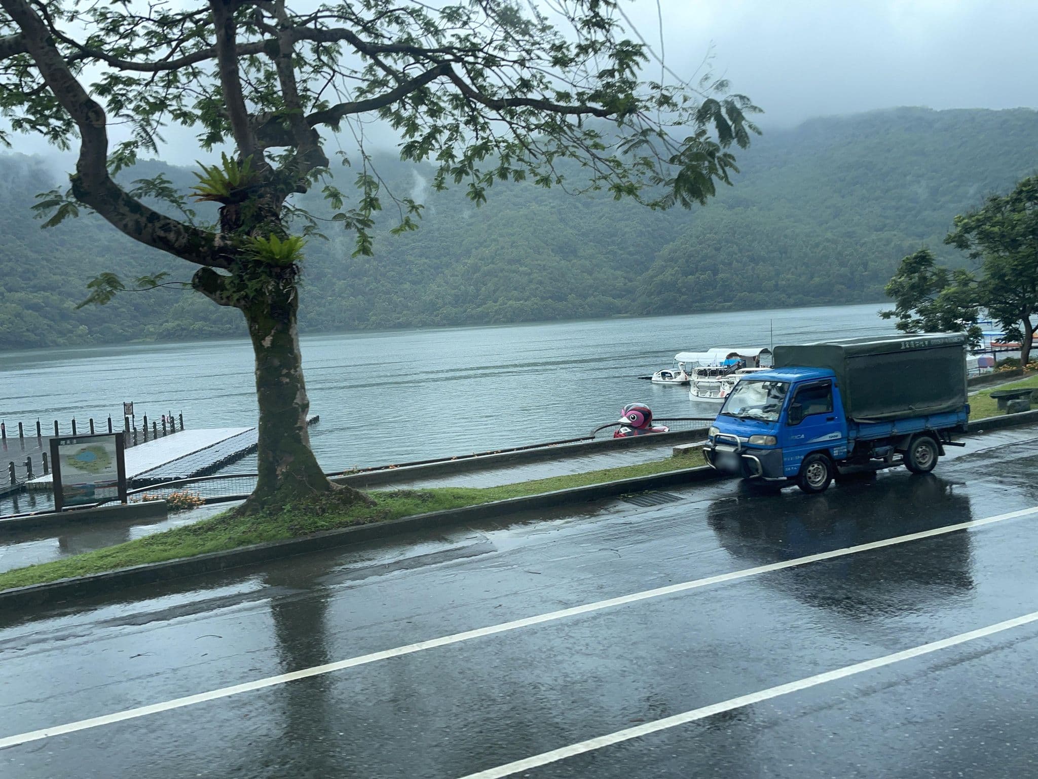 Street view near 湖畔46, Hualien City — © ChenJJ (CC BY-SA · Mapillary)