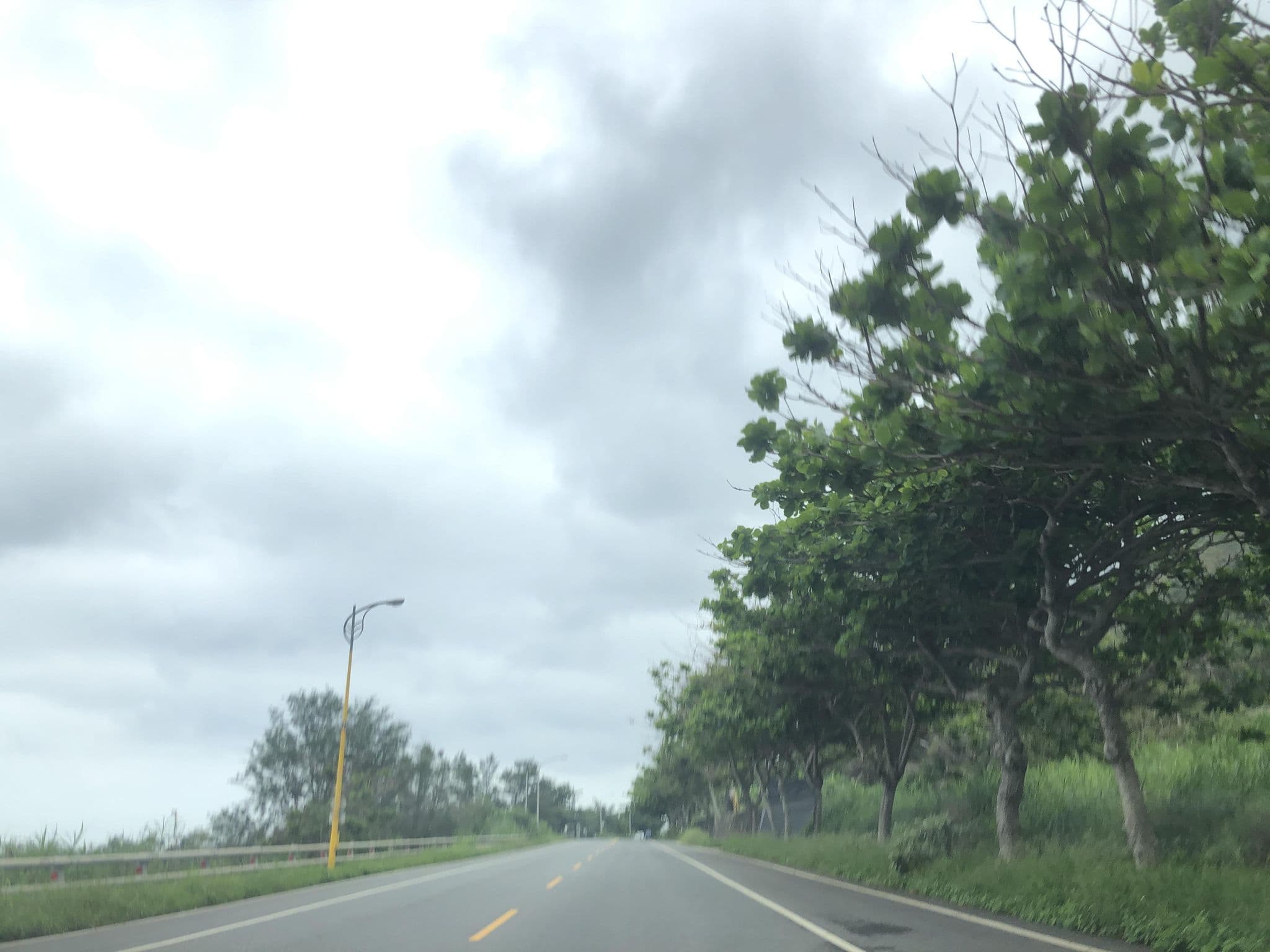 Street view near 狂想首部曲, Hualien City — © monica_migu (CC BY-SA · Mapillary)