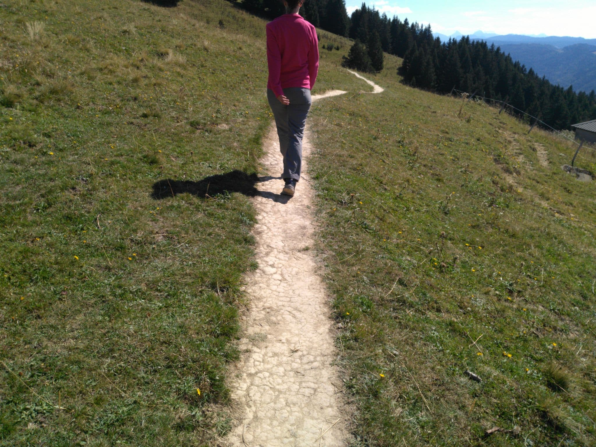 Street view near Refuge du Semnoz, Gruffy — © vho (CC BY-SA · Mapillary)