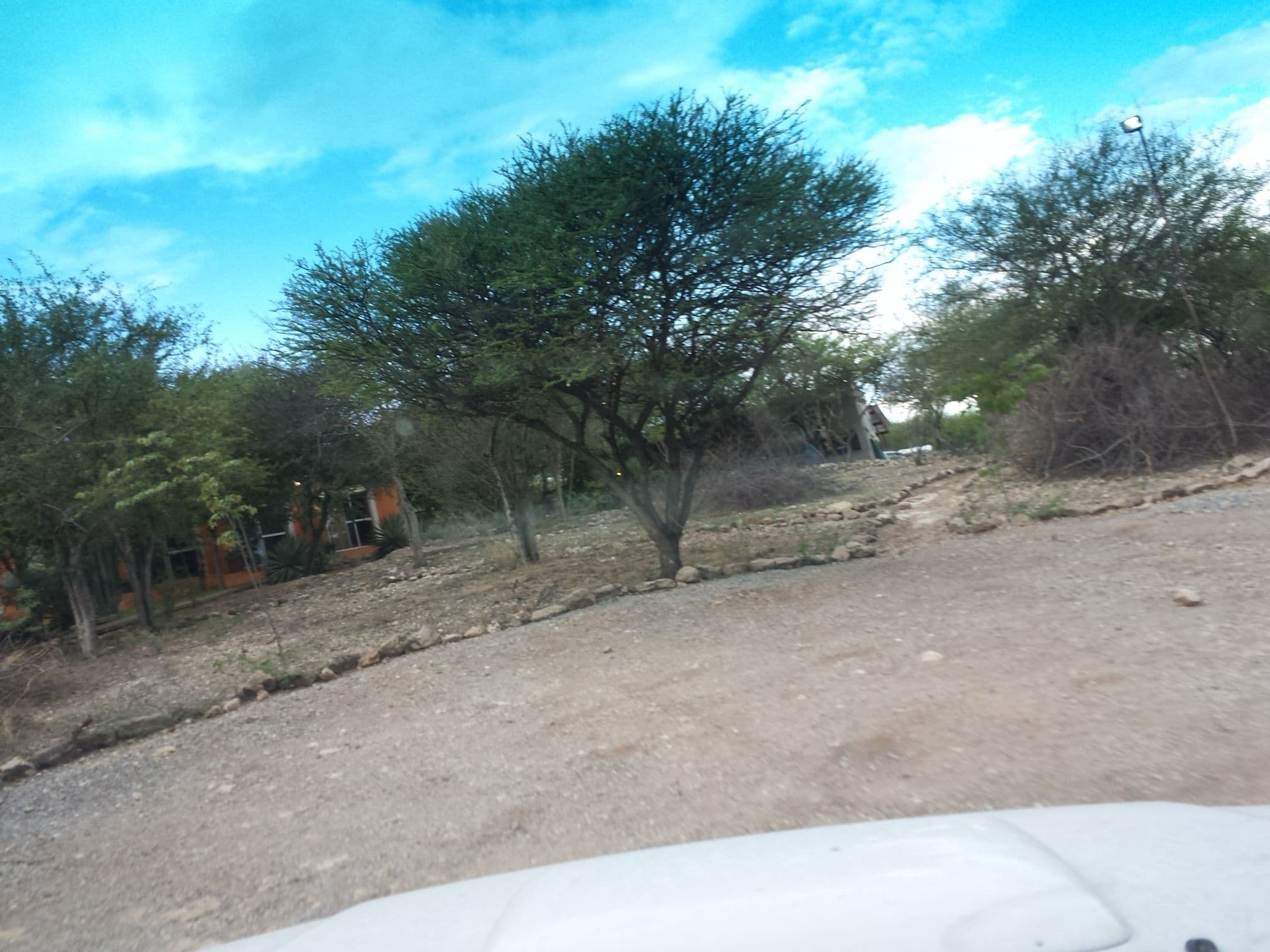 Street view near Sasa Safari Camp, Outjo — © staehler (CC BY-SA · Mapillary)