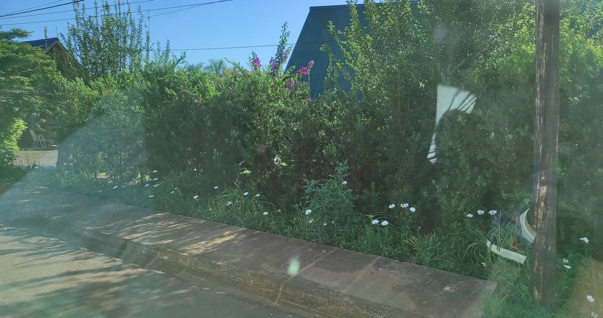 Street view near Esencias, El Soberbio — © diegokrein (CC BY-SA · Mapillary)