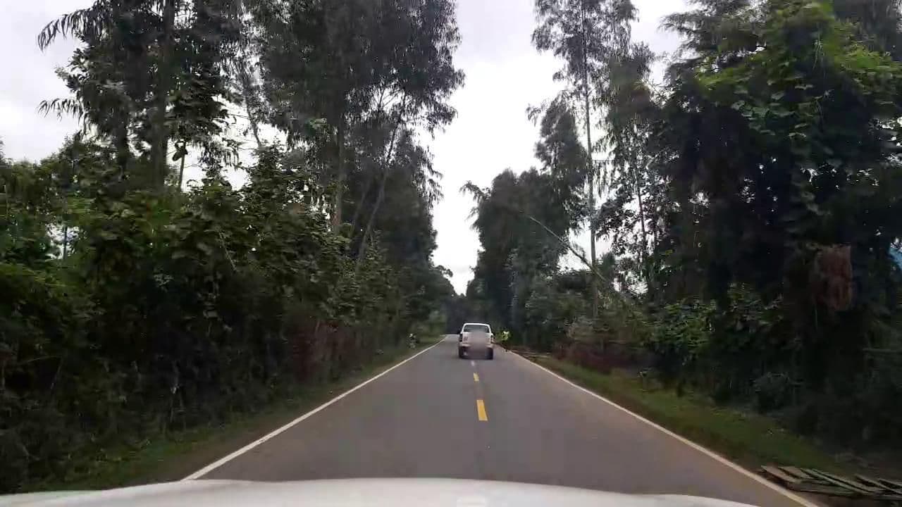 Street view near Gorillas Nest Lodge, Kinigi — © roadroid (CC BY-SA · Mapillary)