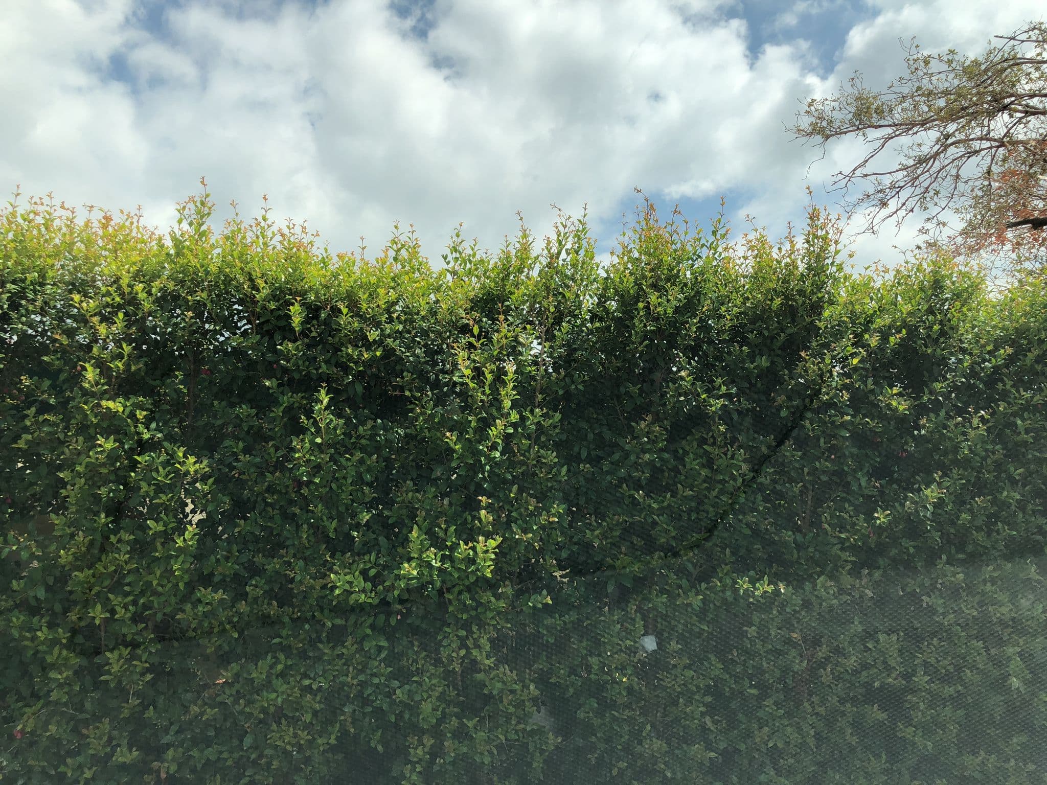 Street view near Bouyout Ghalboun, Byblos — © ronfarra (CC BY-SA · Mapillary)