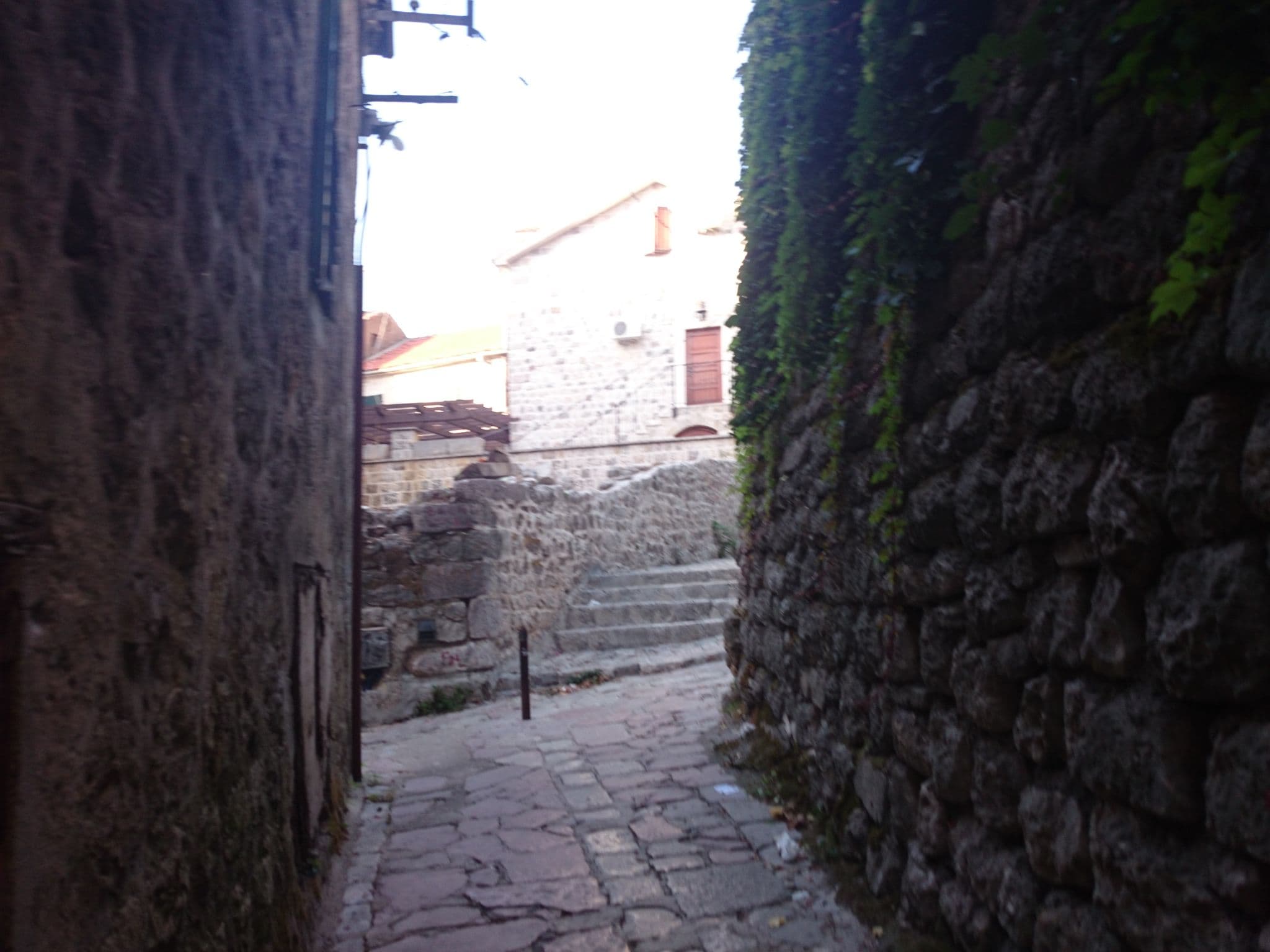 Street view near D & Sons Apartments, Kotor — © ebel (CC BY-SA · Mapillary)