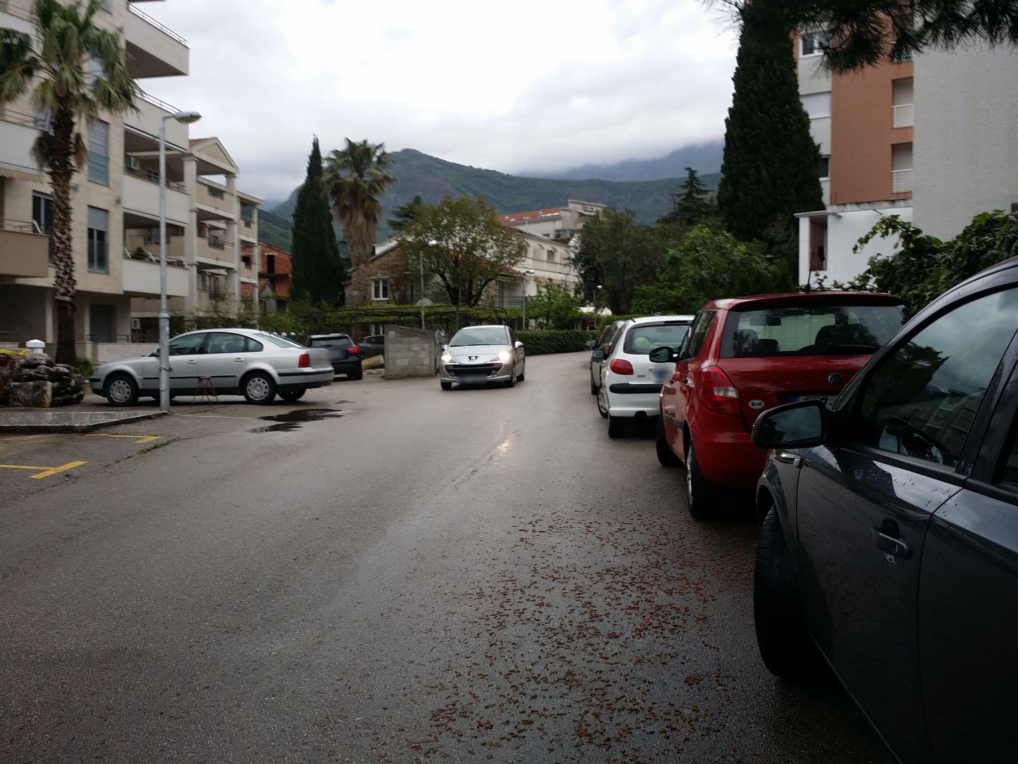 Street view near Lux Apartments Natasha, Budva — © bogorad (CC BY-SA · Mapillary)