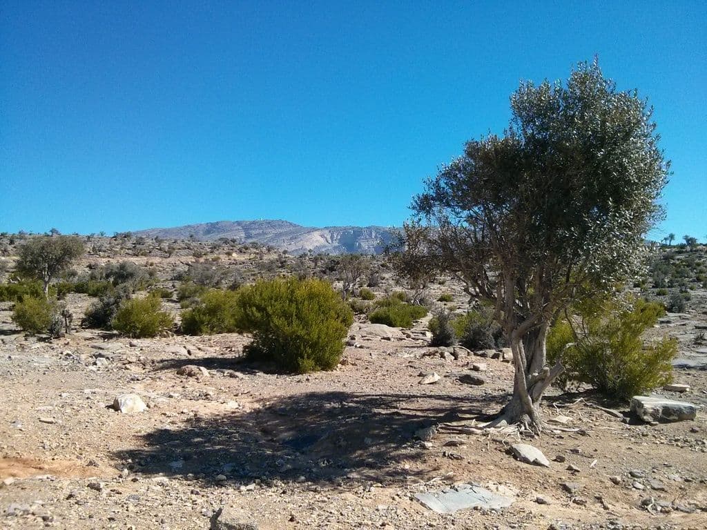 Street view near Jabal Shams Resort, Bahlā’ — © janvanbekkum (CC BY-SA · Mapillary)