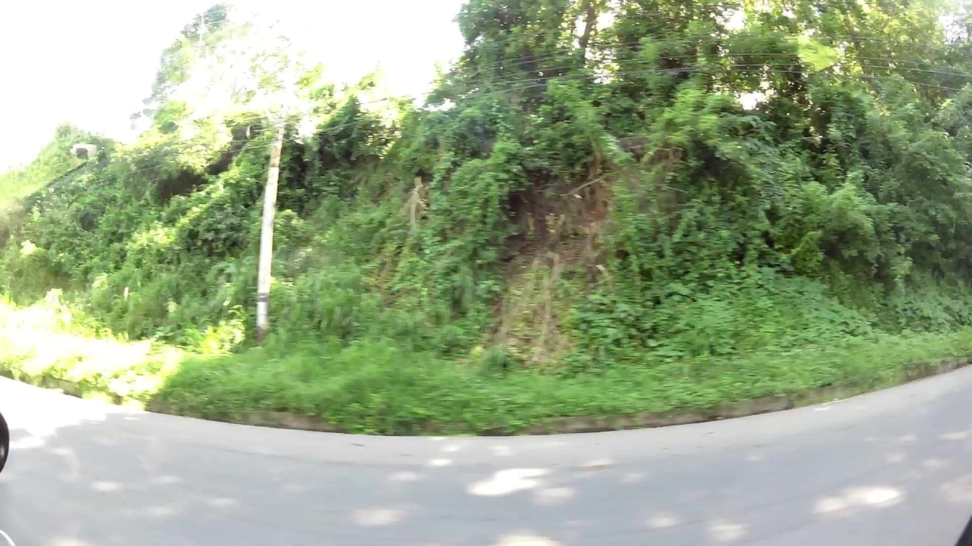 Street view near Paradise Found Villa, Scarborough — © kaartcam (CC BY-SA · Mapillary)