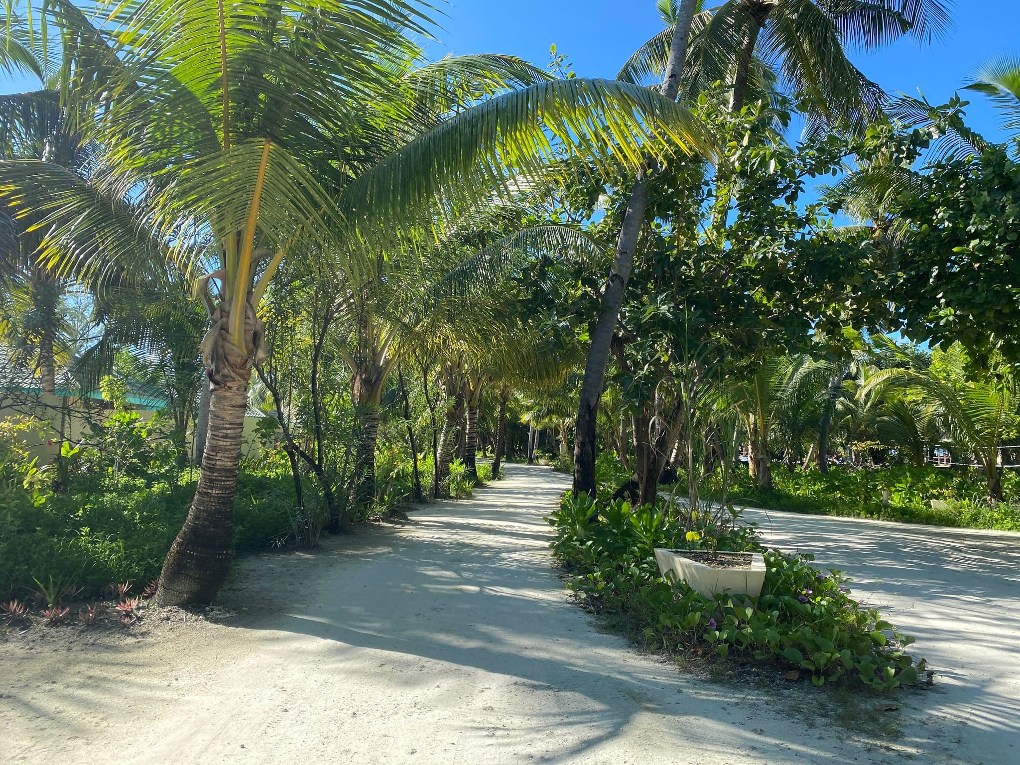 Street view near Villa No. 231 (Canareef), Meedhoo — © alekseyrm (CC BY-SA · Mapillary)