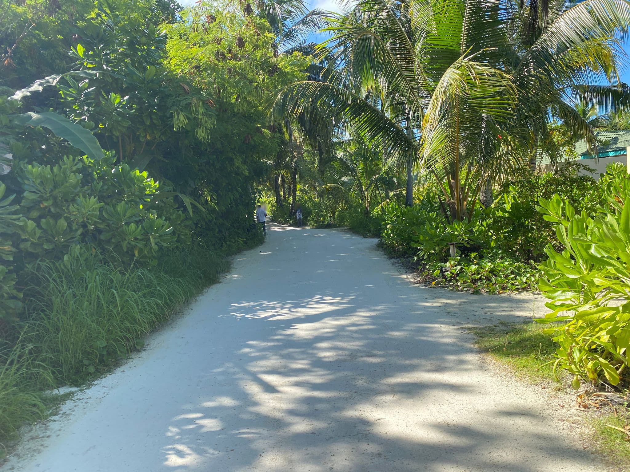 Street view near Beach villa #129, Meedhoo — © alekseyrm (CC BY-SA · Mapillary)