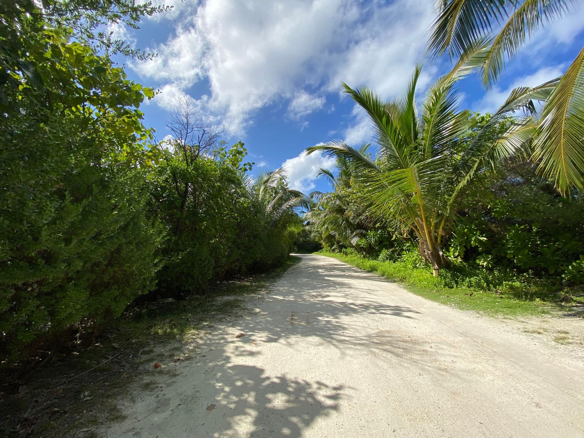 Street view near Room No. 321, Meedhoo — © alekseyrm (CC BY-SA · Mapillary)