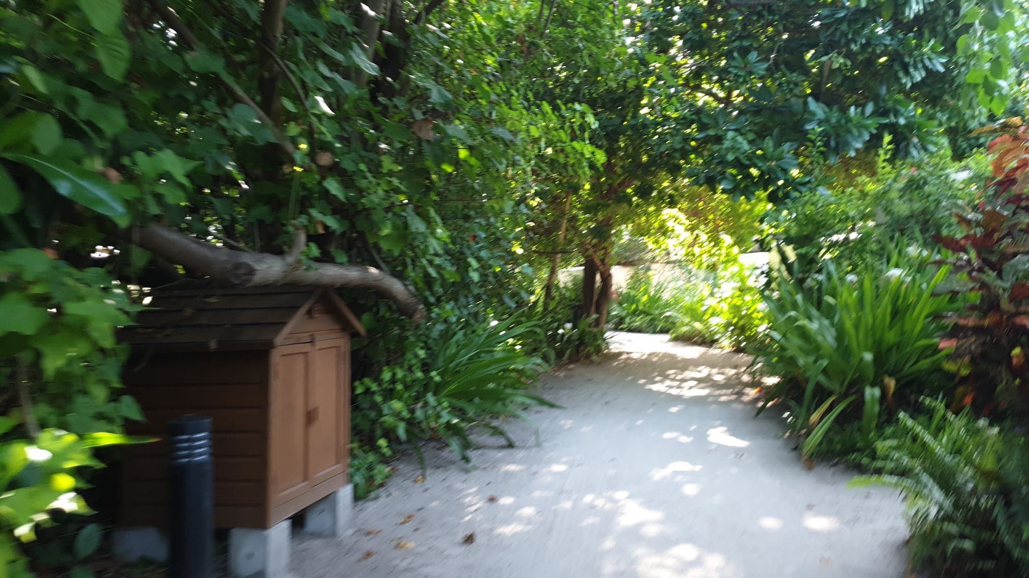 Street view near Vilamendhoo Room 1116, Mahibadhoo — © patrikja (CC BY-SA · Mapillary)