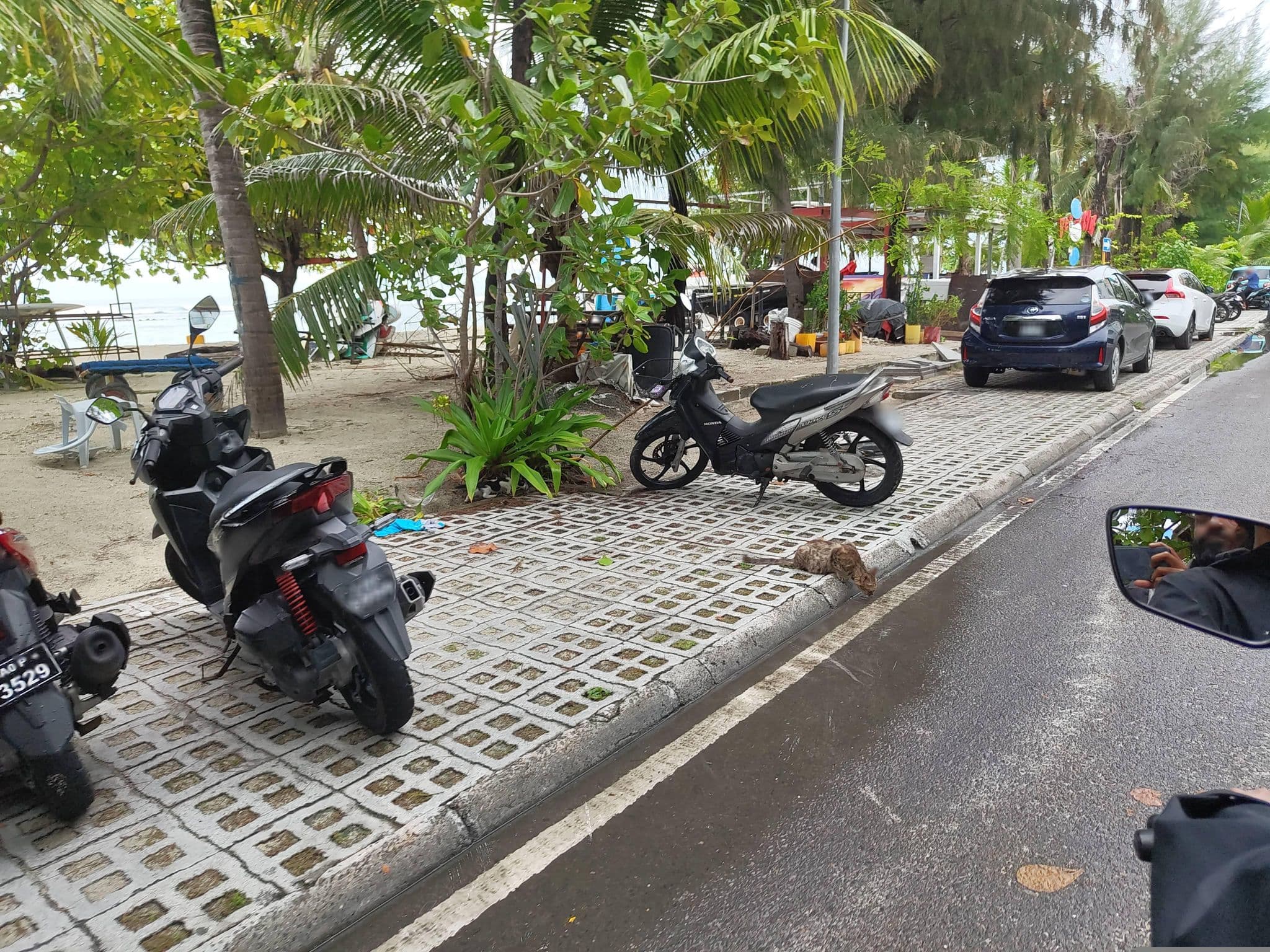 Street view near Cowry Beach House, Hulhumale — © sameeh (CC BY-SA · Mapillary)