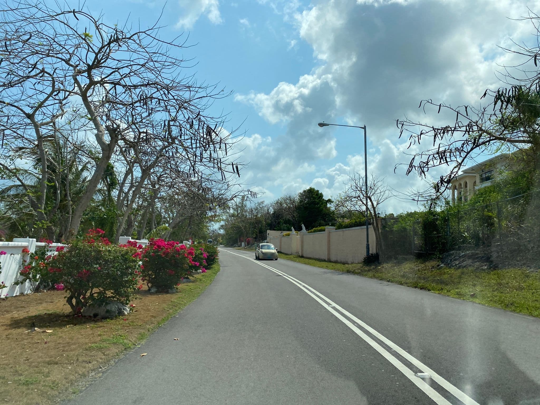 Street view near Golden Palm B & B, Killarney — © mobileimagery (CC BY-SA · Mapillary)