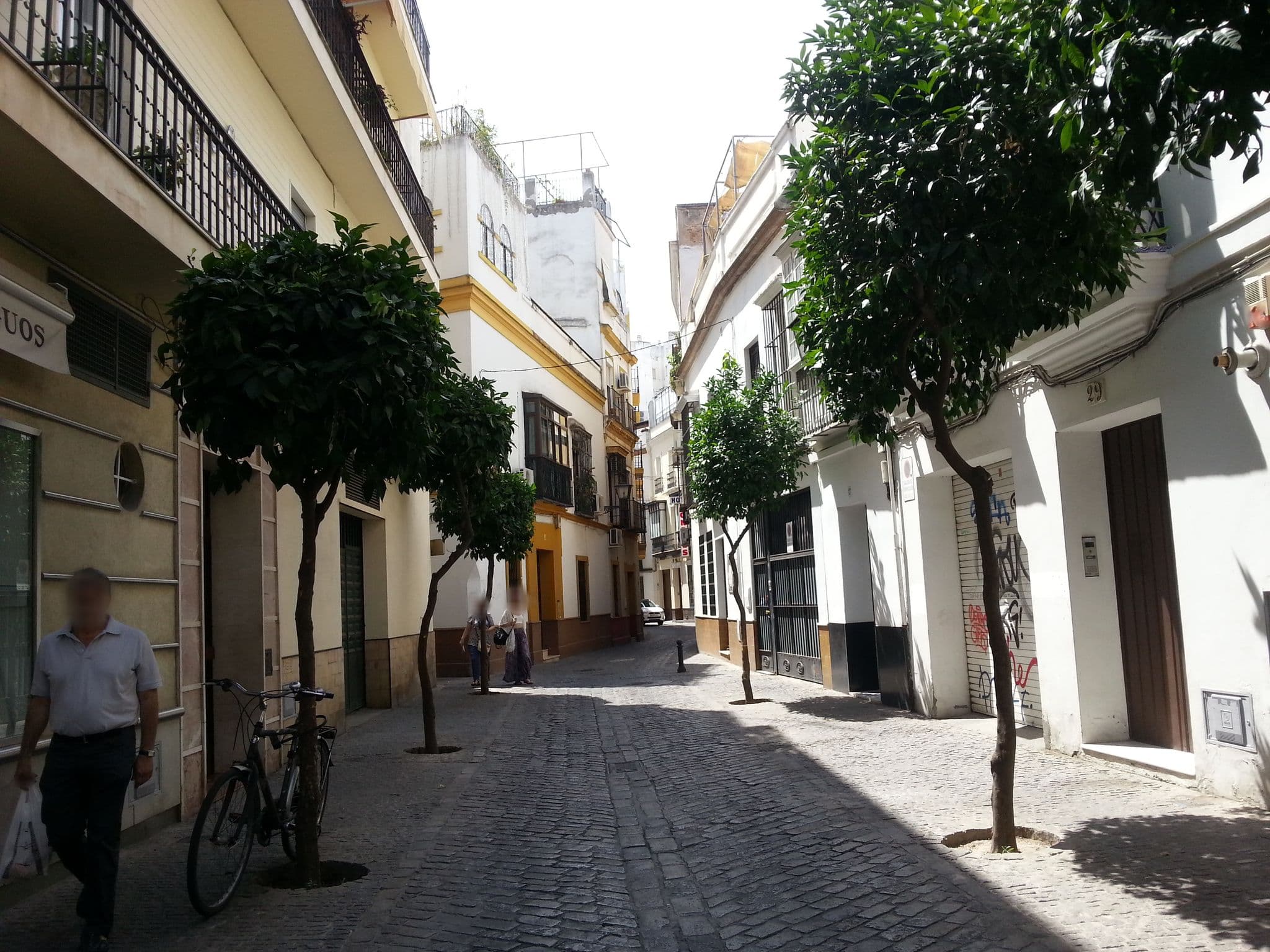 Street view near Casa Gloria Apartments, Sevilla — © paulinus (CC BY-SA · Mapillary)
