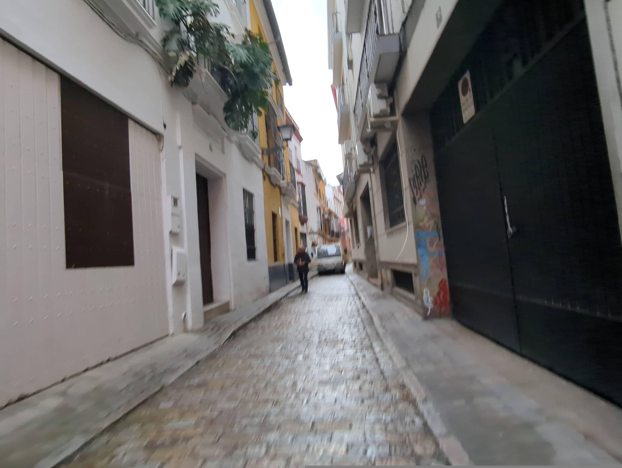 Street view near U-Sense Sevilla Catedral, Sevilla — © miguel_andrade (CC BY-SA · Mapillary)
