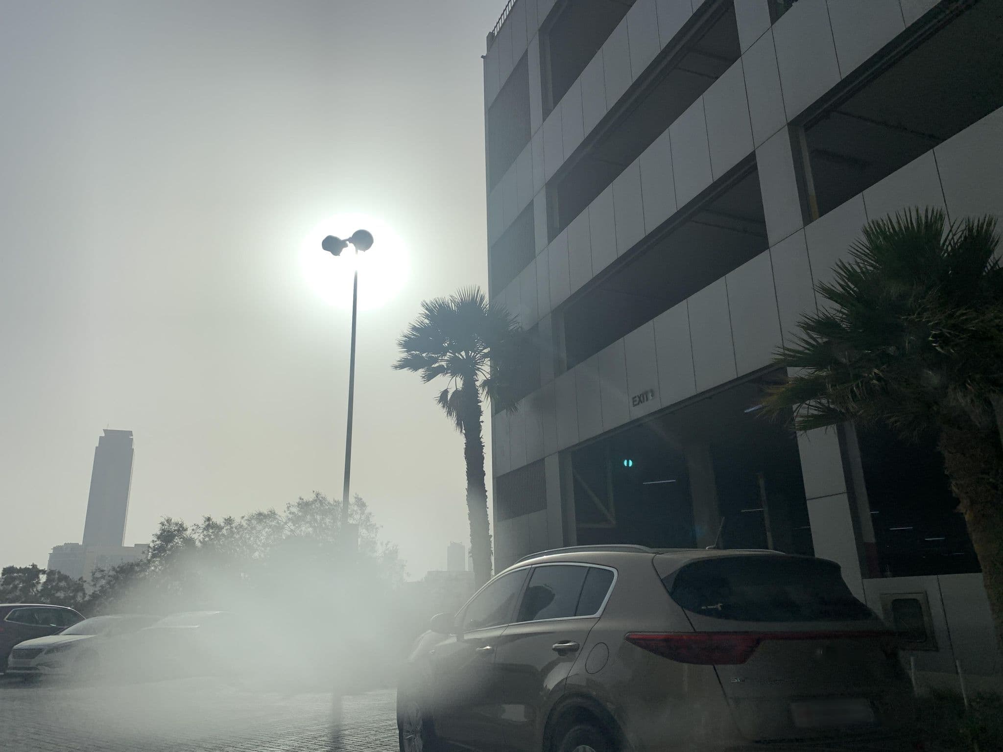 Street view near Elite Grande Hotel, Sanābis — © sherif1234 (CC BY-SA · Mapillary)