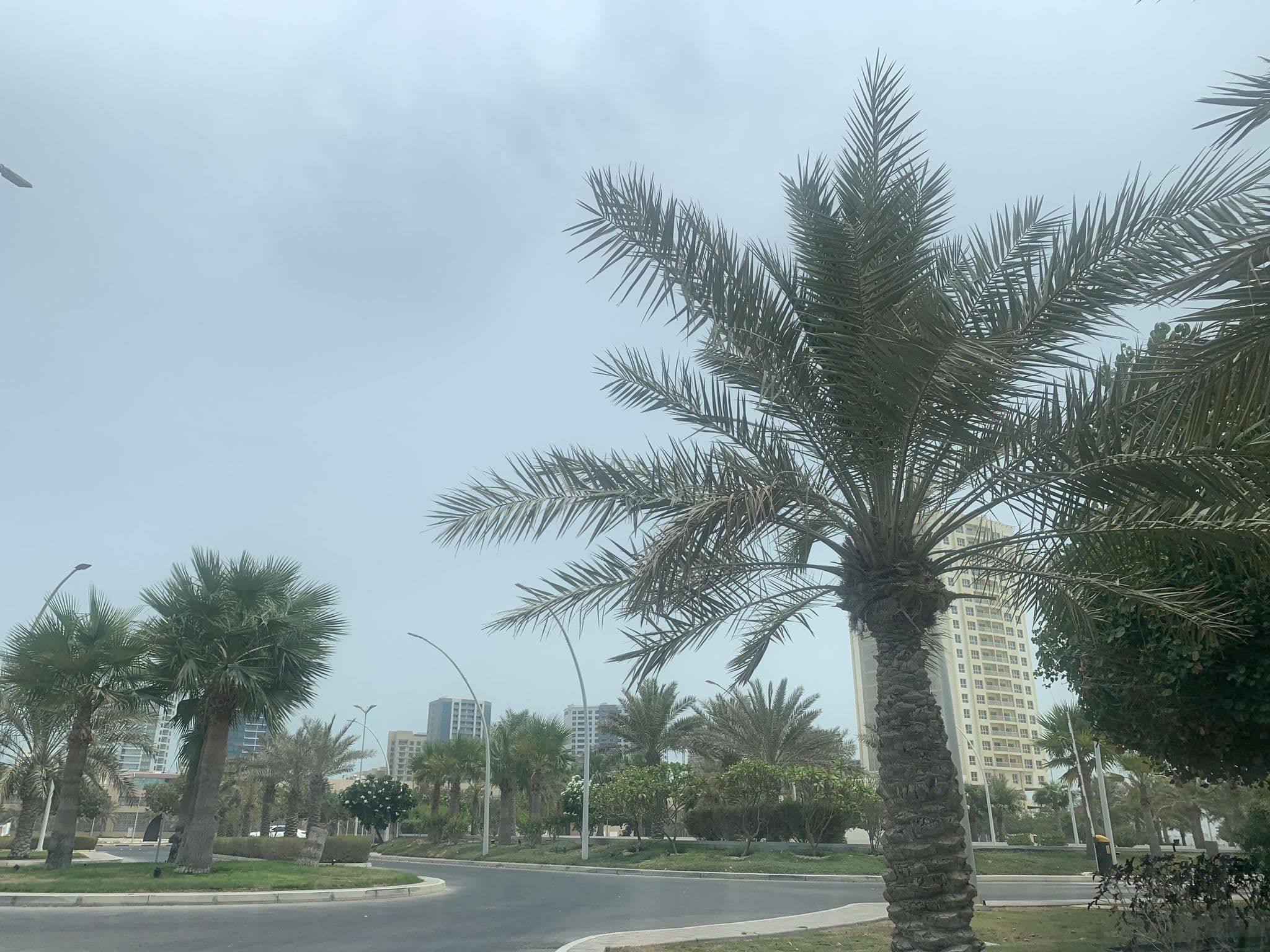 Street view near art hotel, Al Ḩadd — © sherif1234 (CC BY-SA · Mapillary)