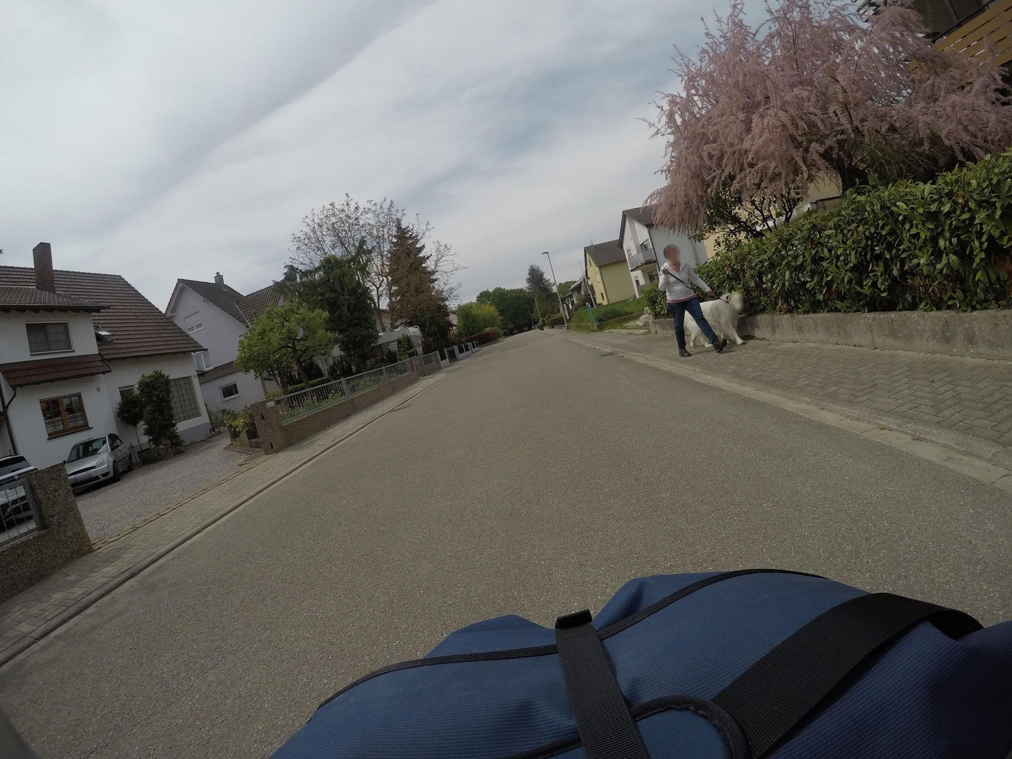 Street view near Ferienwohnung Rheinvorland, La Wantzenau — © mfa (CC BY-SA · Mapillary)