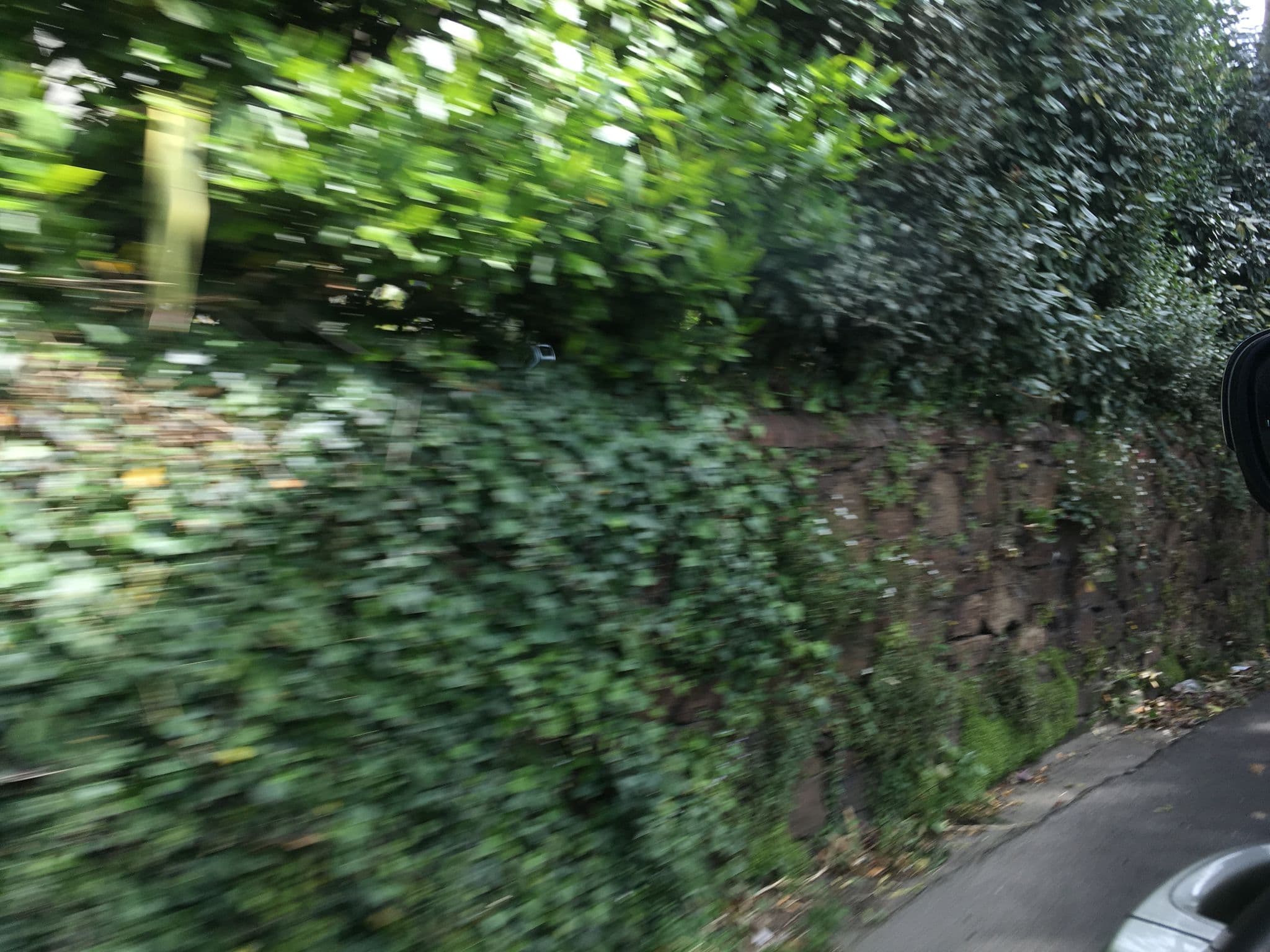 Street view near Forrest Park Hotel, Forest Parish — © southglos (CC BY-SA · Mapillary)