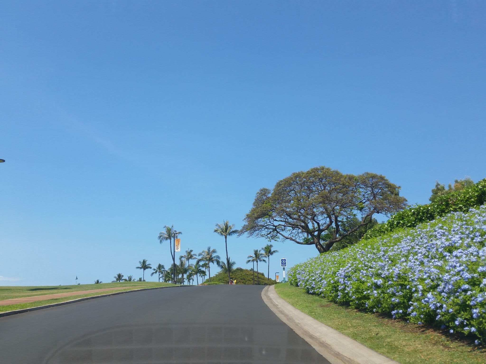 Street view near BIG BEN FLOYD'S 2BEDROOM LOCKOFF, Kā‘anapali — © rps333 (CC BY-SA · Mapillary)