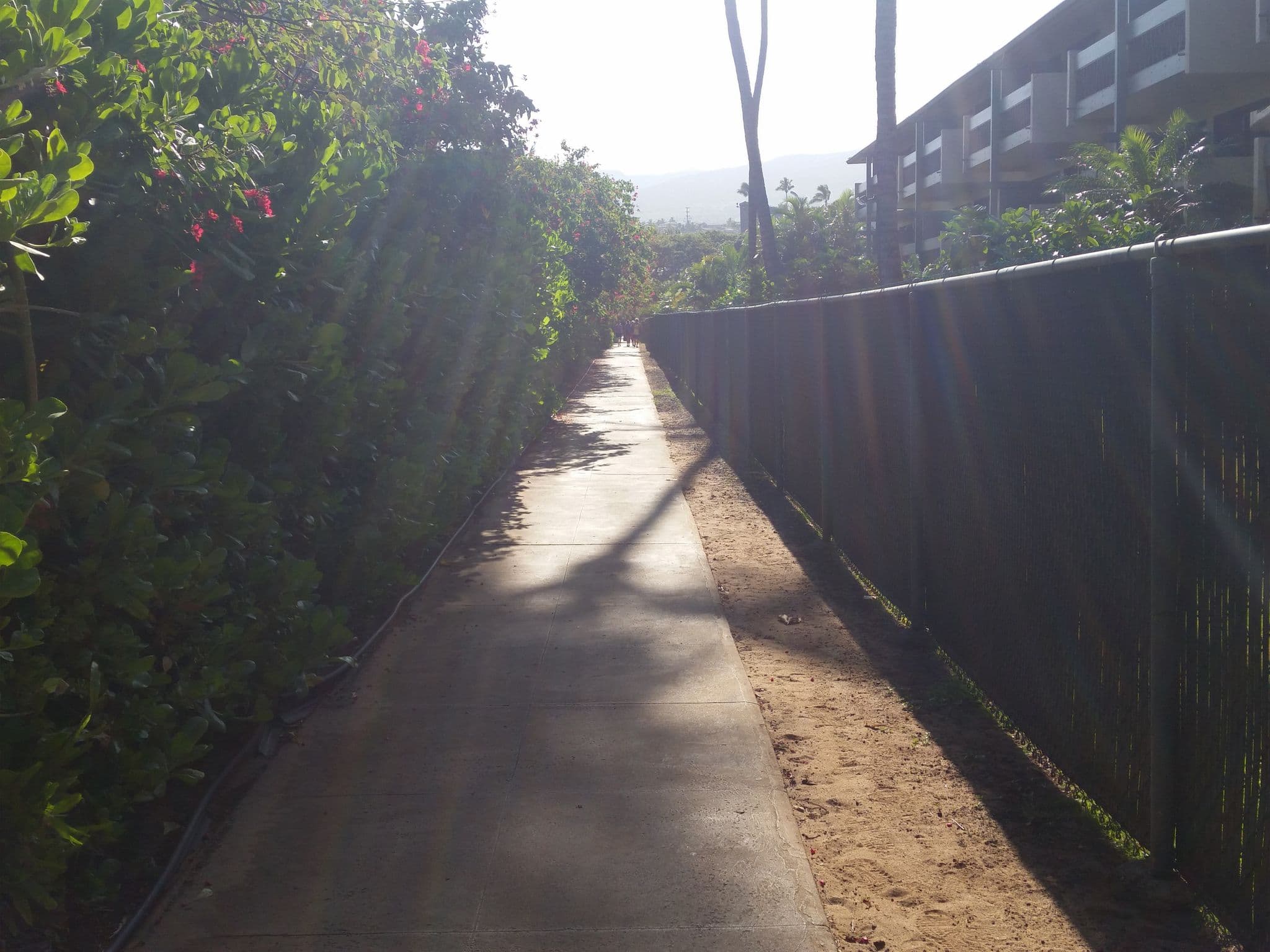 Street view near Molokai Wing @ Kaanapali Beach Hotel, Kā‘anapali — © rps333 (CC BY-SA · Mapillary)