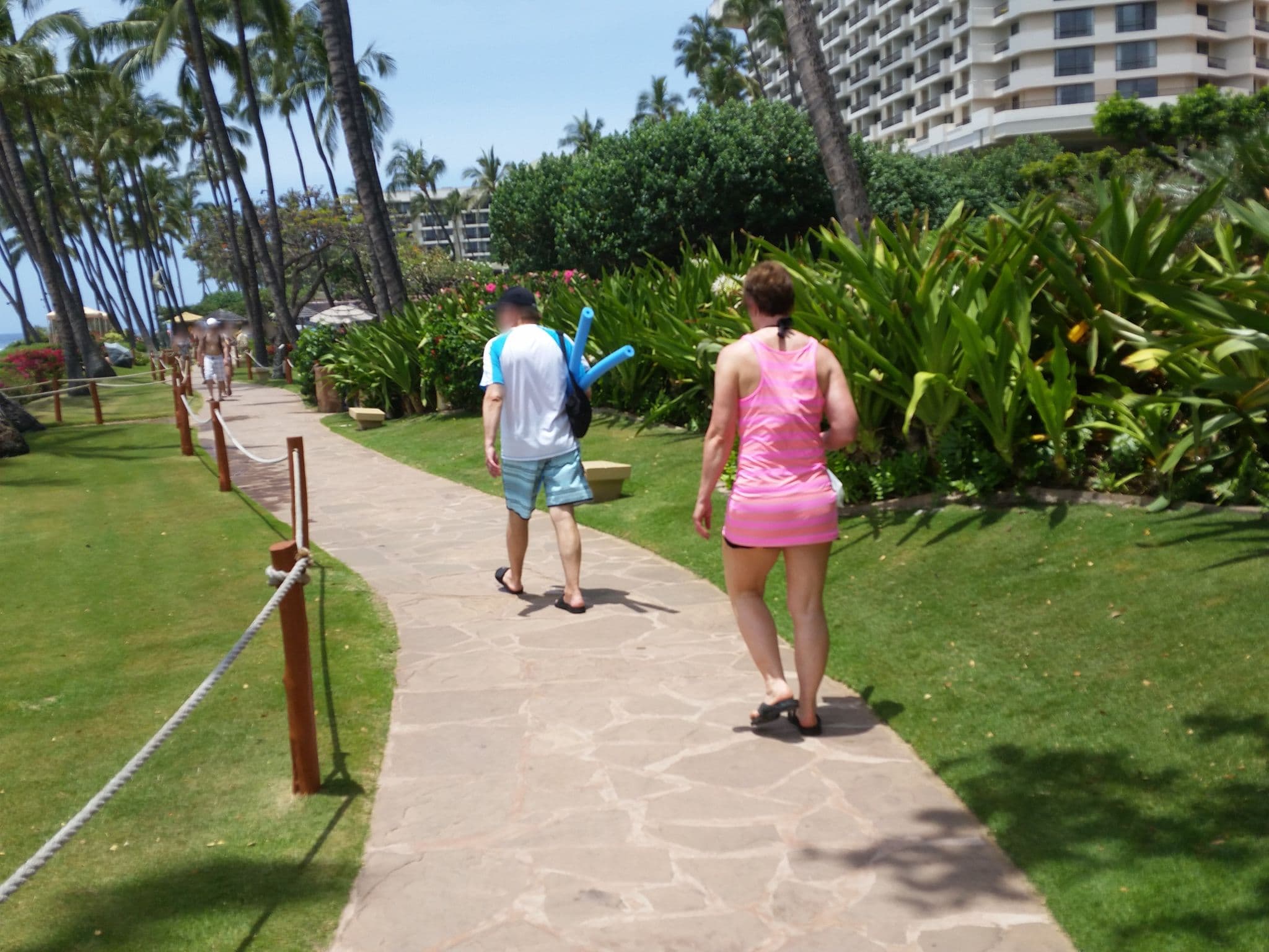 Street view near Hyatt Regency Maui Lahaina Tower, Kā‘anapali — © rps333 (CC BY-SA · Mapillary)