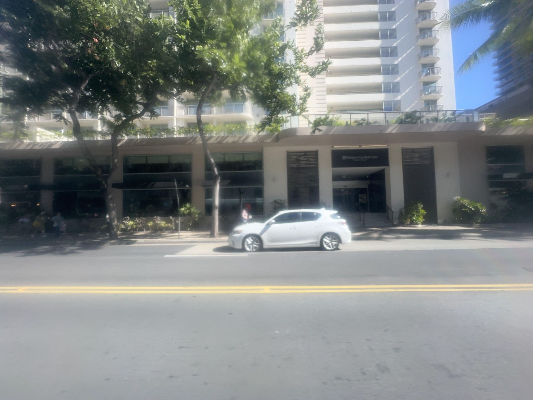 Street view near Miramar at Waikiki, Lower McCully — © quickness805 (CC BY-SA · Mapillary)