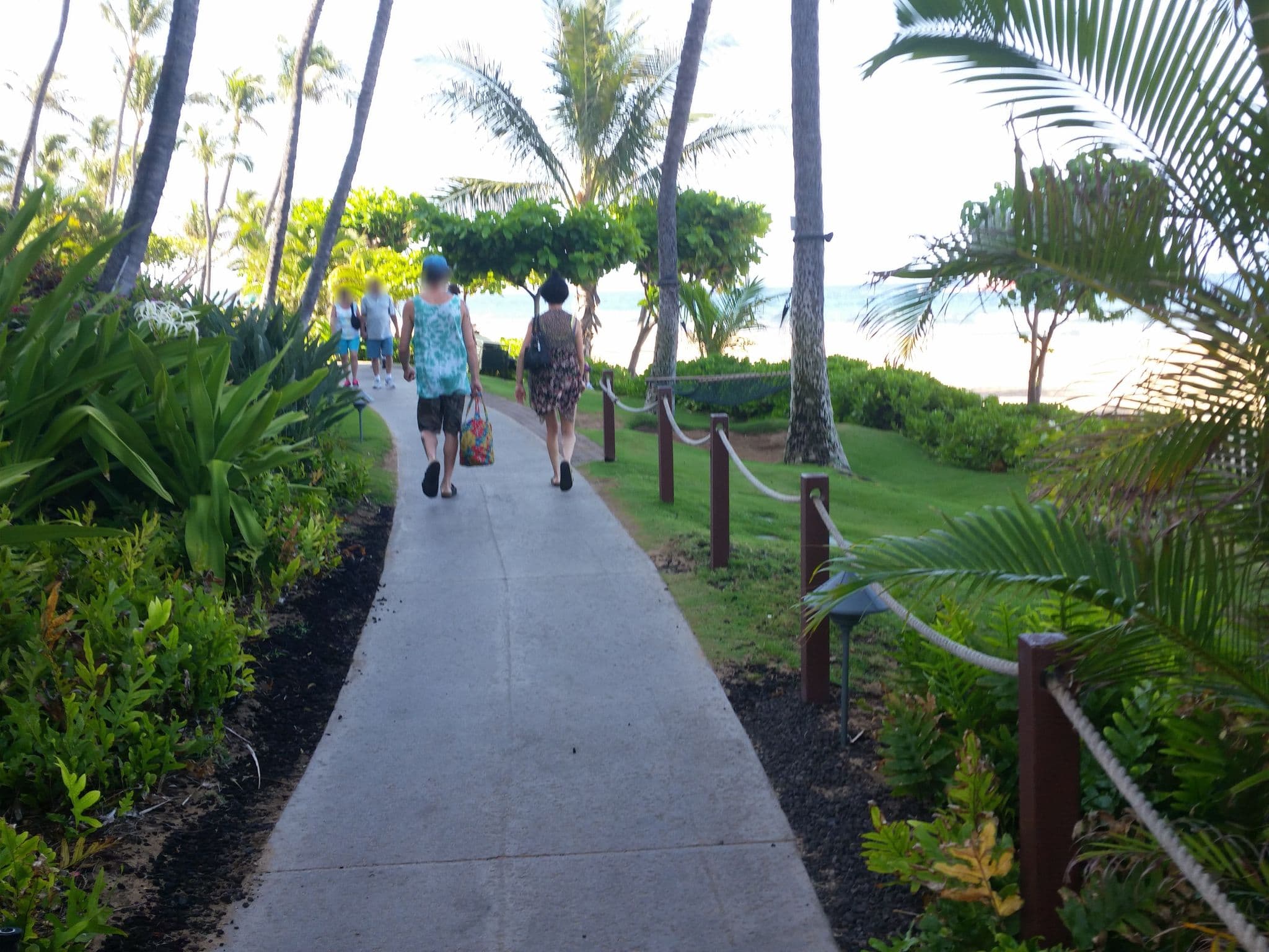 Street view near Room 8809 Marriott Ocean Club, Kā‘anapali — © rps333 (CC BY-SA · Mapillary)
