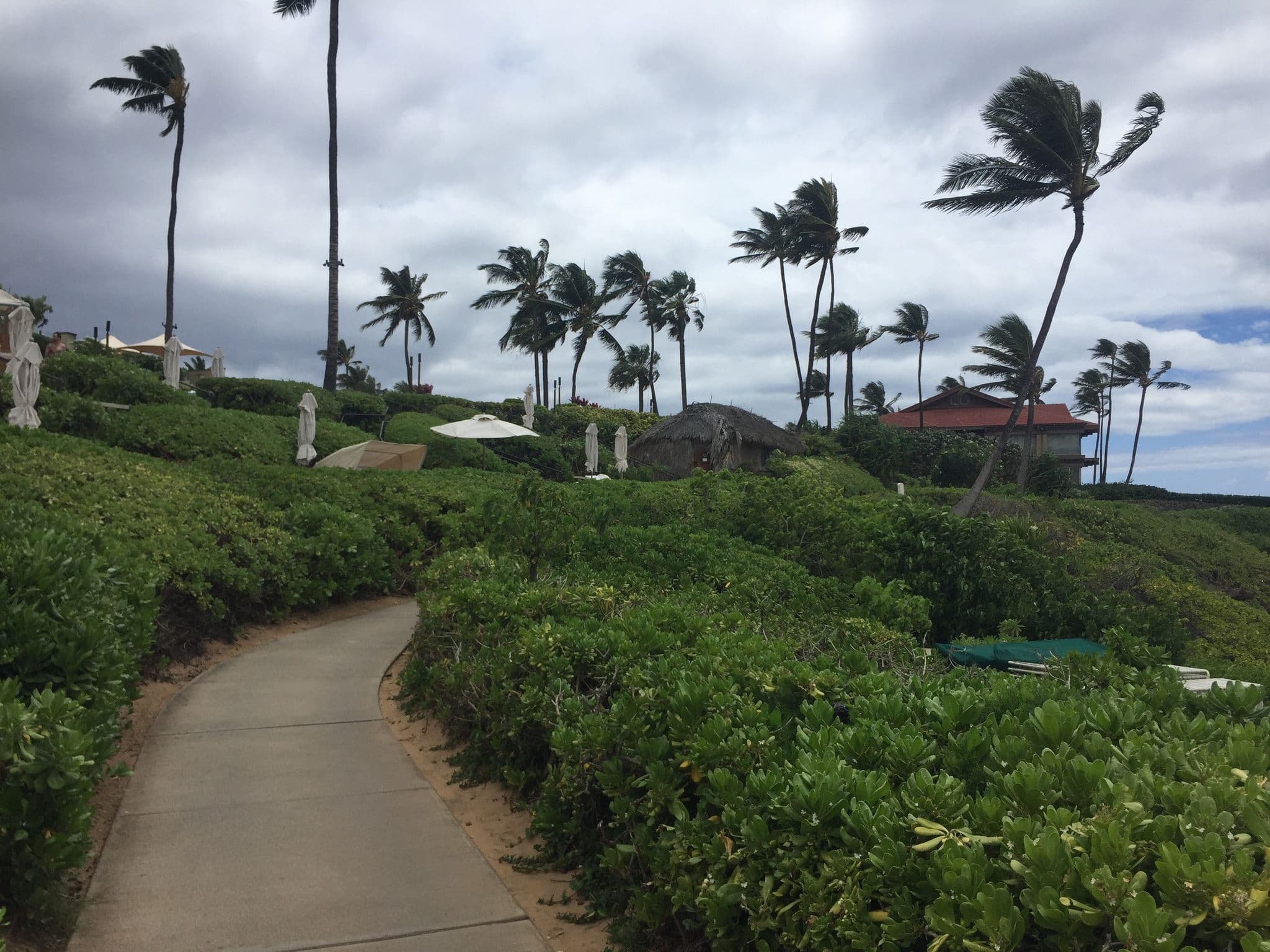 Street view near The "Modern Family" Hammock, Wailea — © till (CC BY-SA · Mapillary)