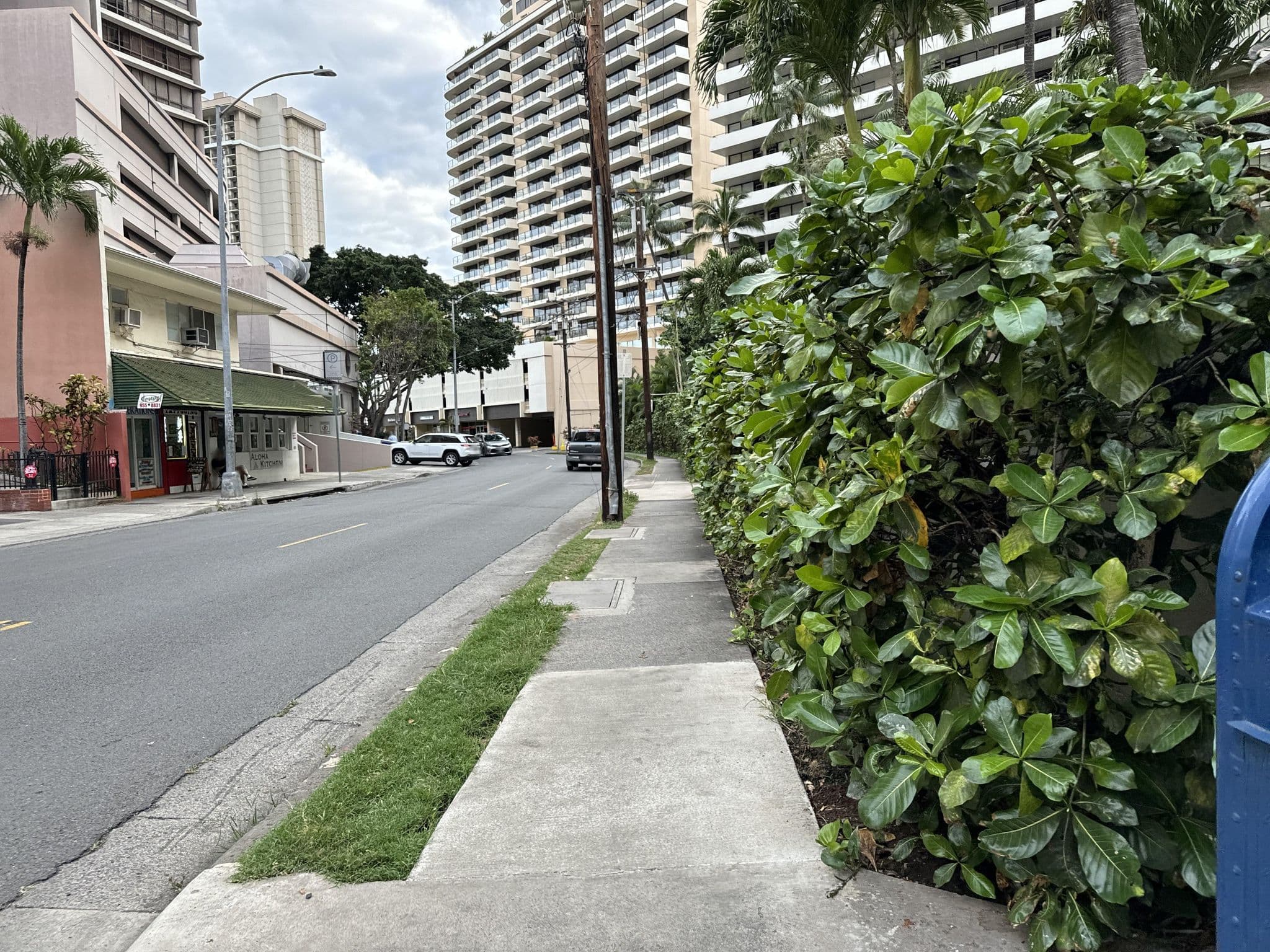 Street view near Green Dolphin, Waikīkī — © filipb (CC BY-SA · Mapillary)